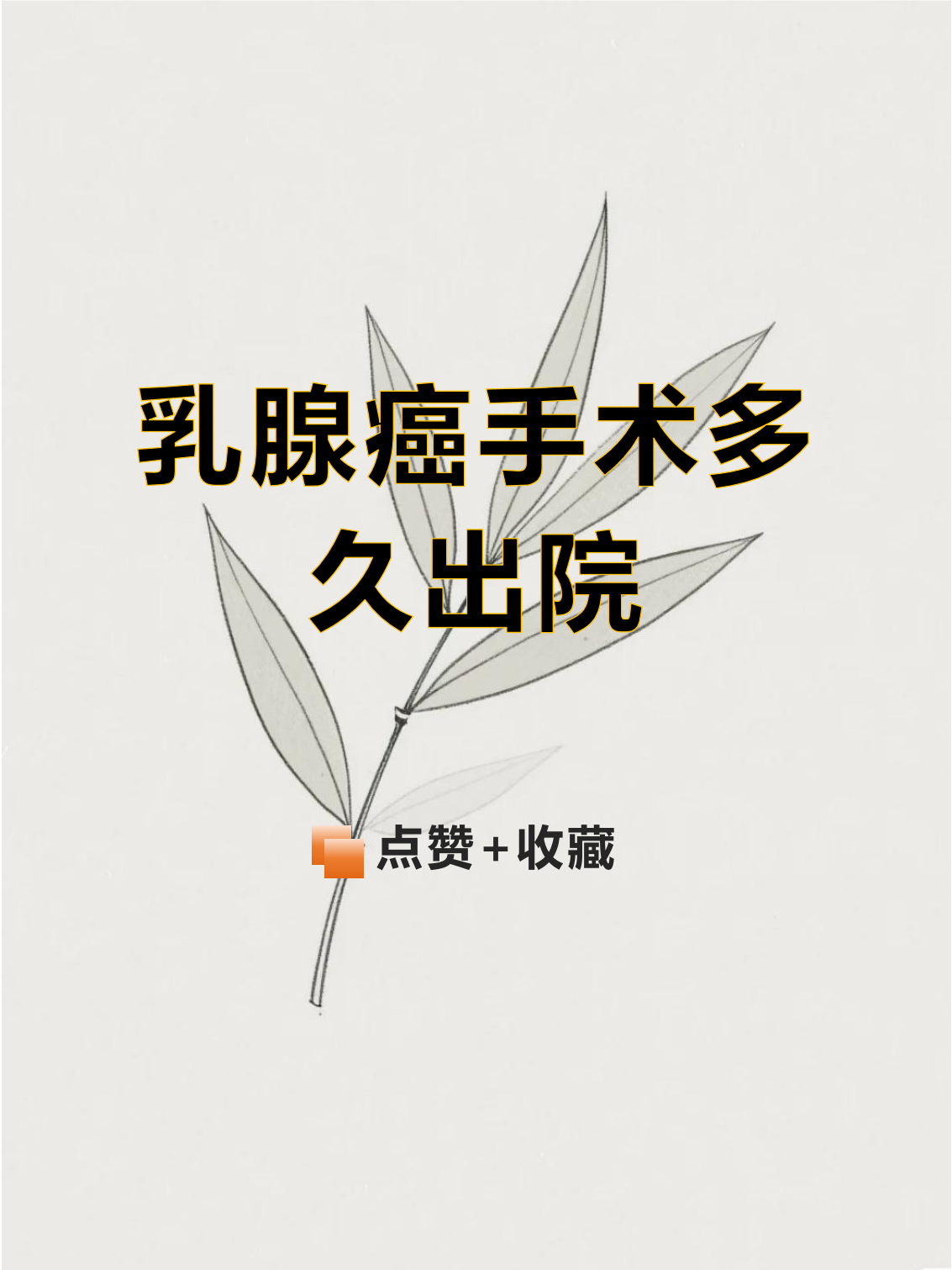 博爱医院住院办理陪诊挂号康复期饮食、锻炼全程指导，恢复更科学的简单介绍