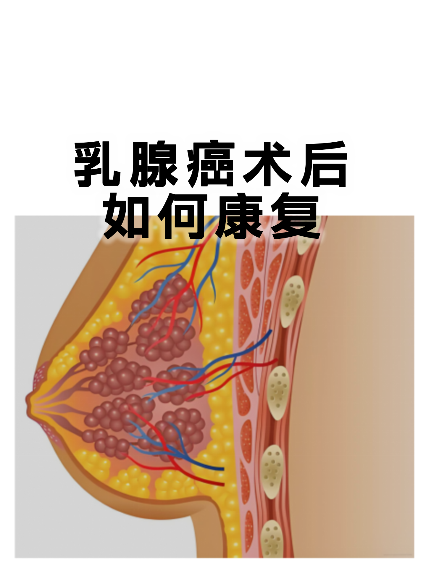 关于北京大学第三医院住院办理陪诊挂号术后康复全程跟踪，恢复不走弯路的信息