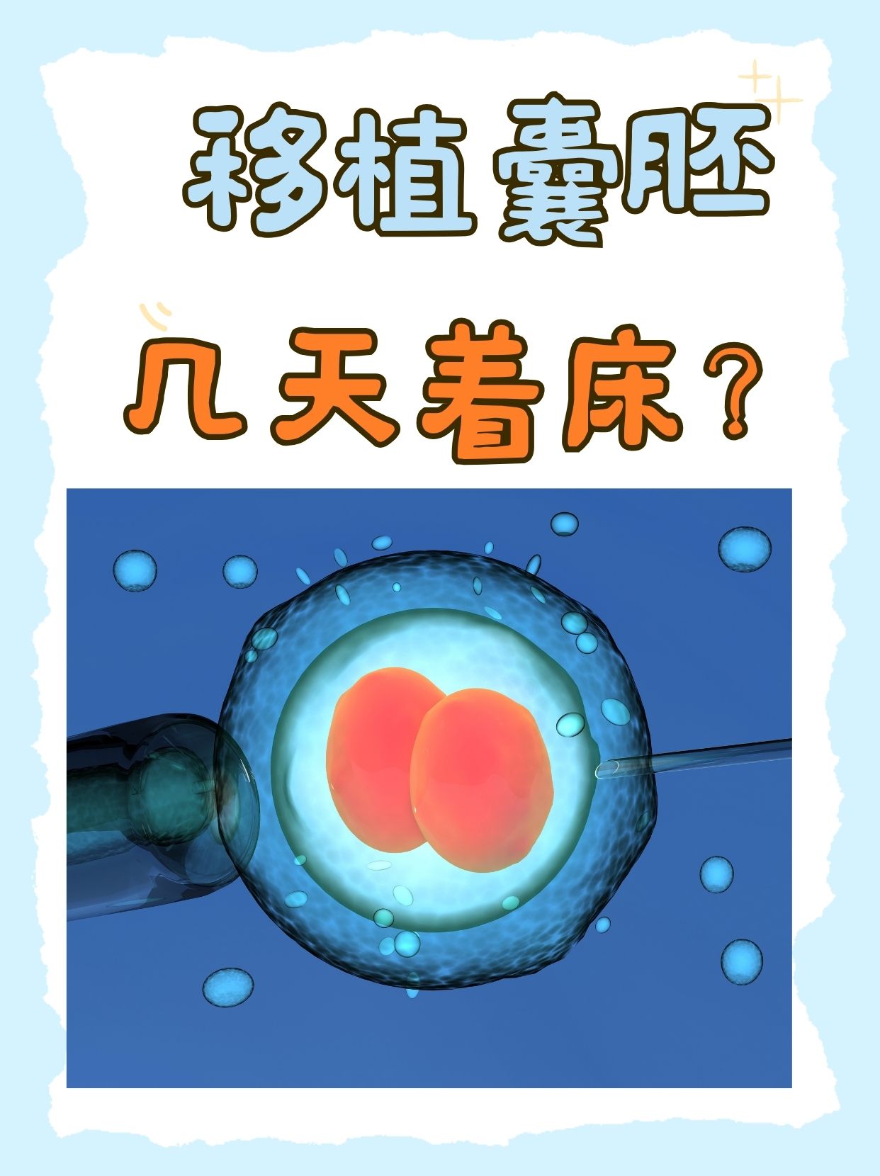 试管婴儿囊胚移植成功率(试管囊胚移植成功的表现都有哪些)  第2张