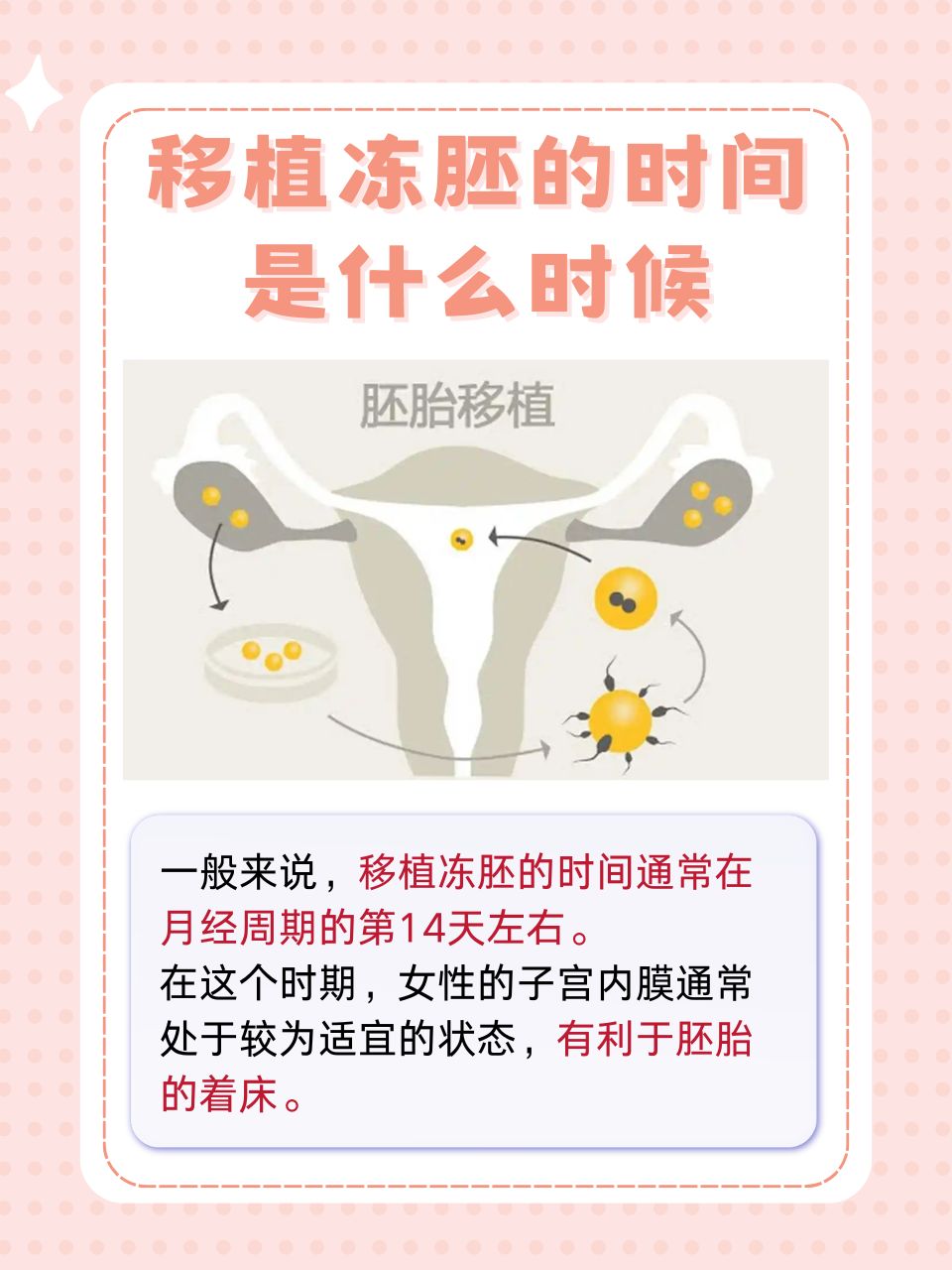 胚胎移植时间是由什么决定的_胚胎移植时间是由什么决定的呢  第2张