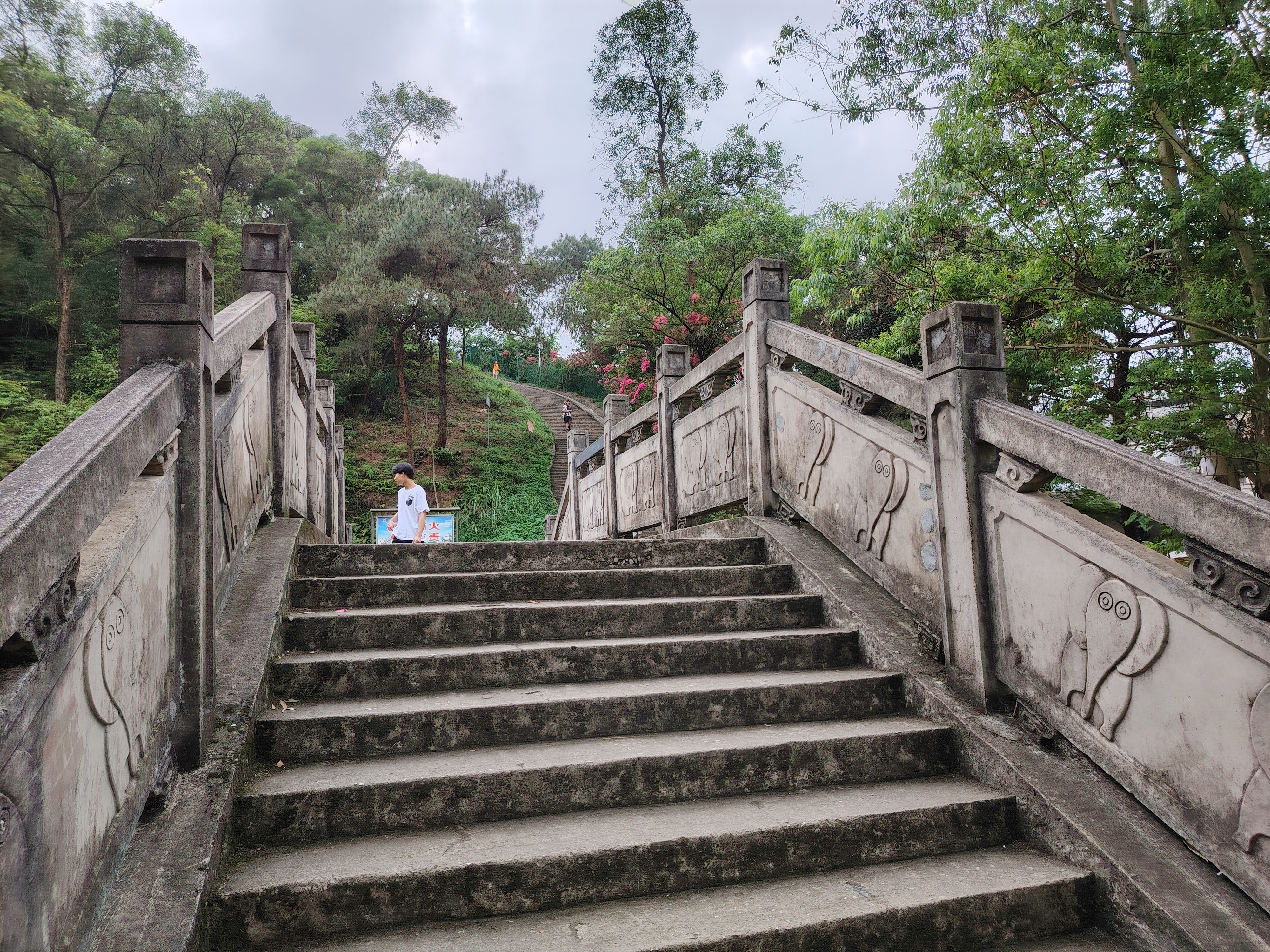 南宁五象岭森林公园图片