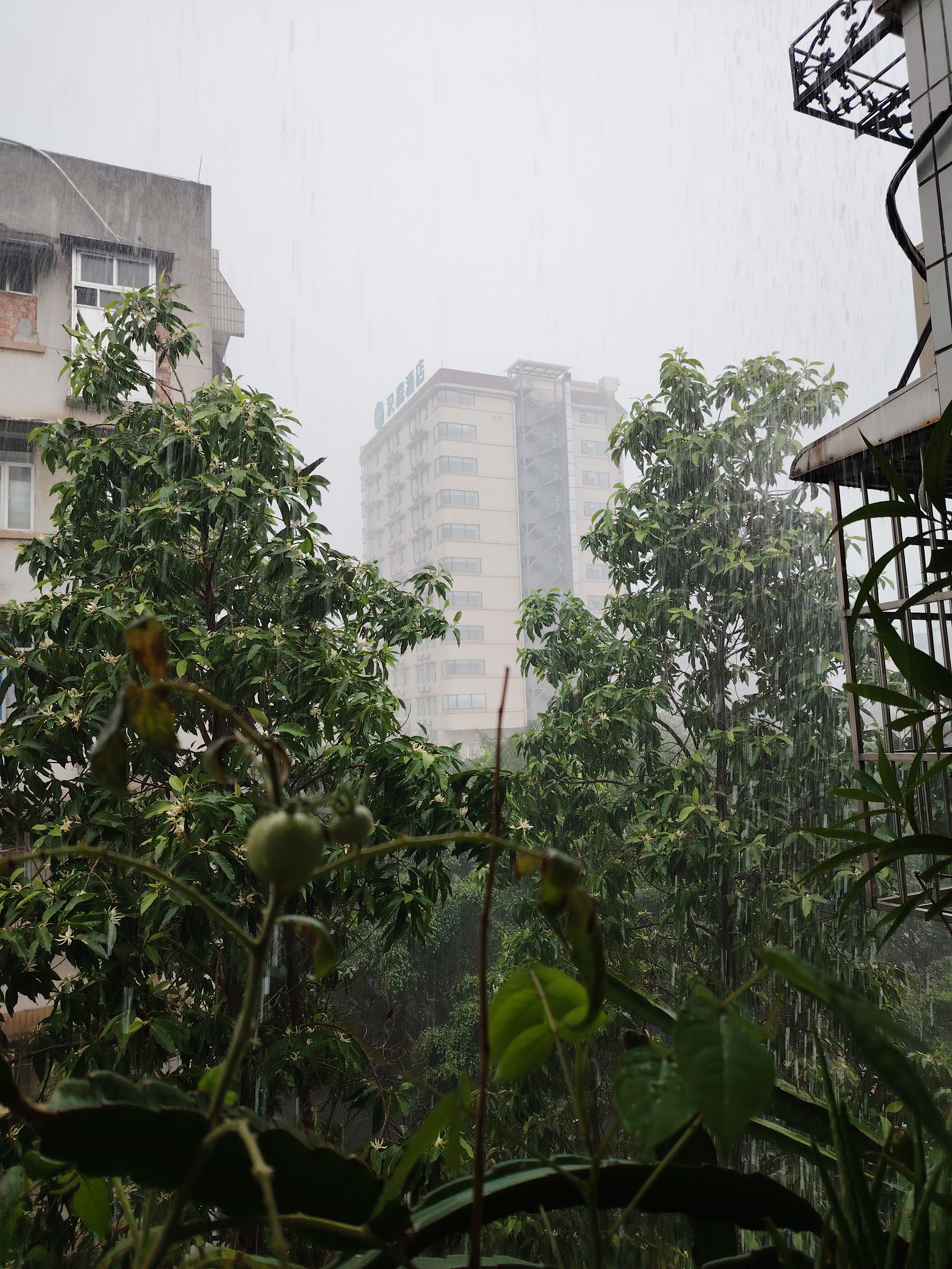 南宁下雨图片图片