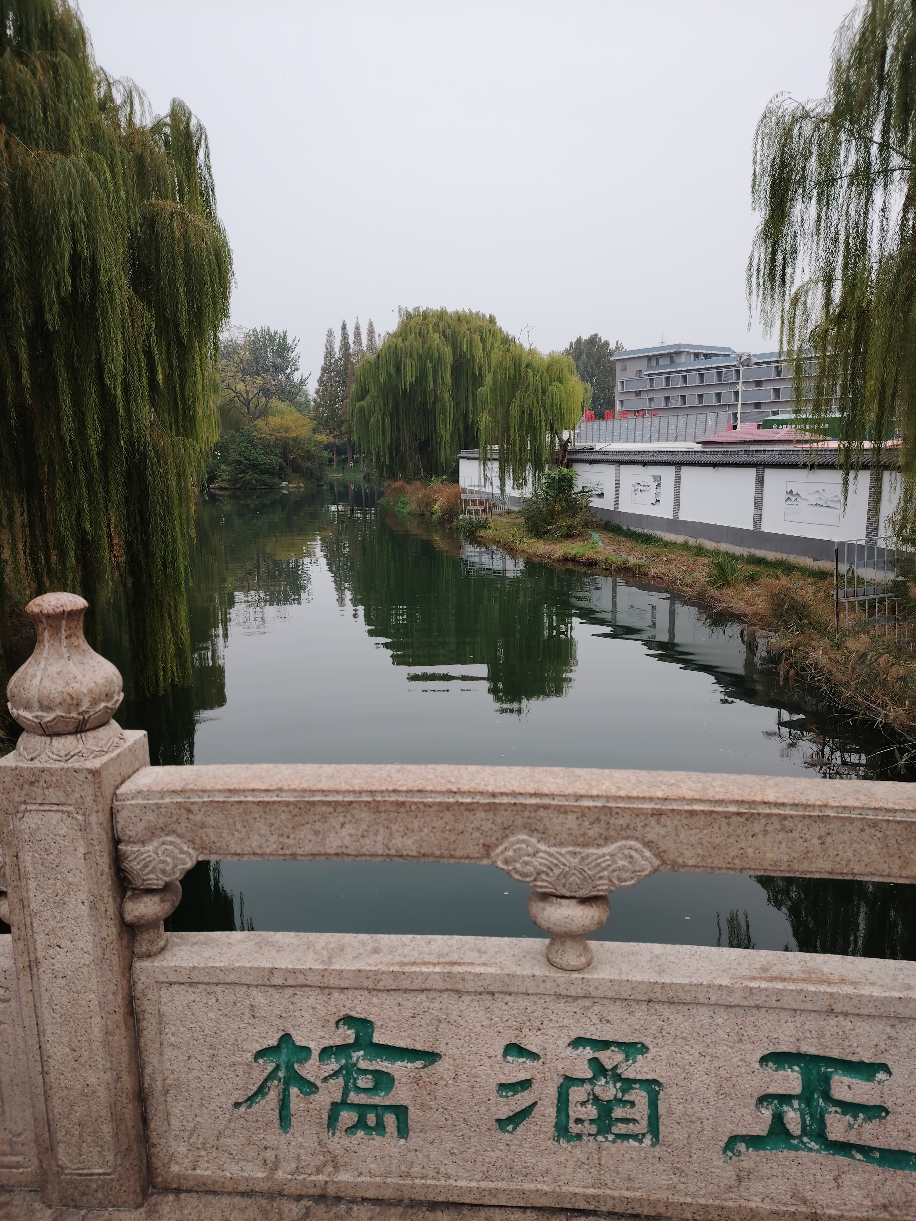 团圆游享年味# 放眼看去,济南大明湖景区的湖边,有很多小桥,很有特色