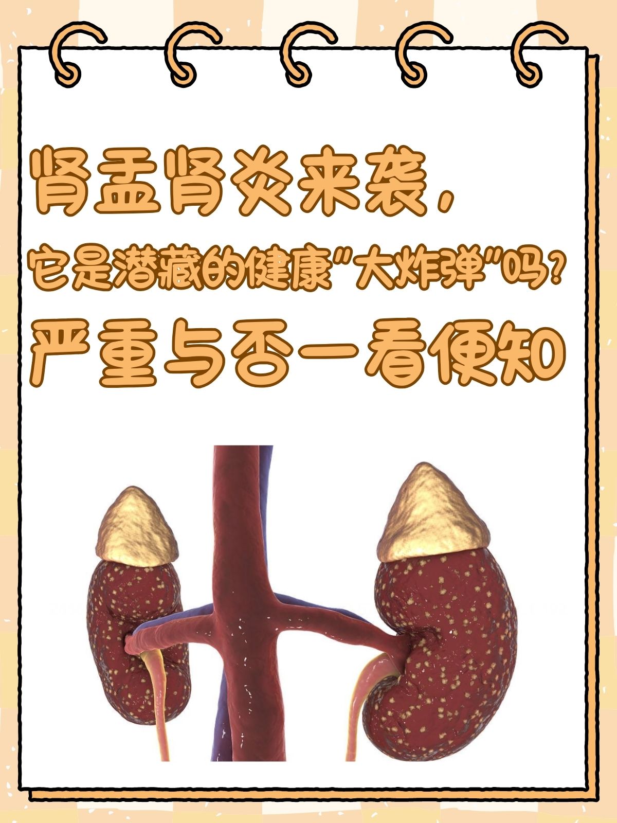 肾与健康的简单介绍 肾与康健
的简单

先容
（肾与健康的关系） 健康