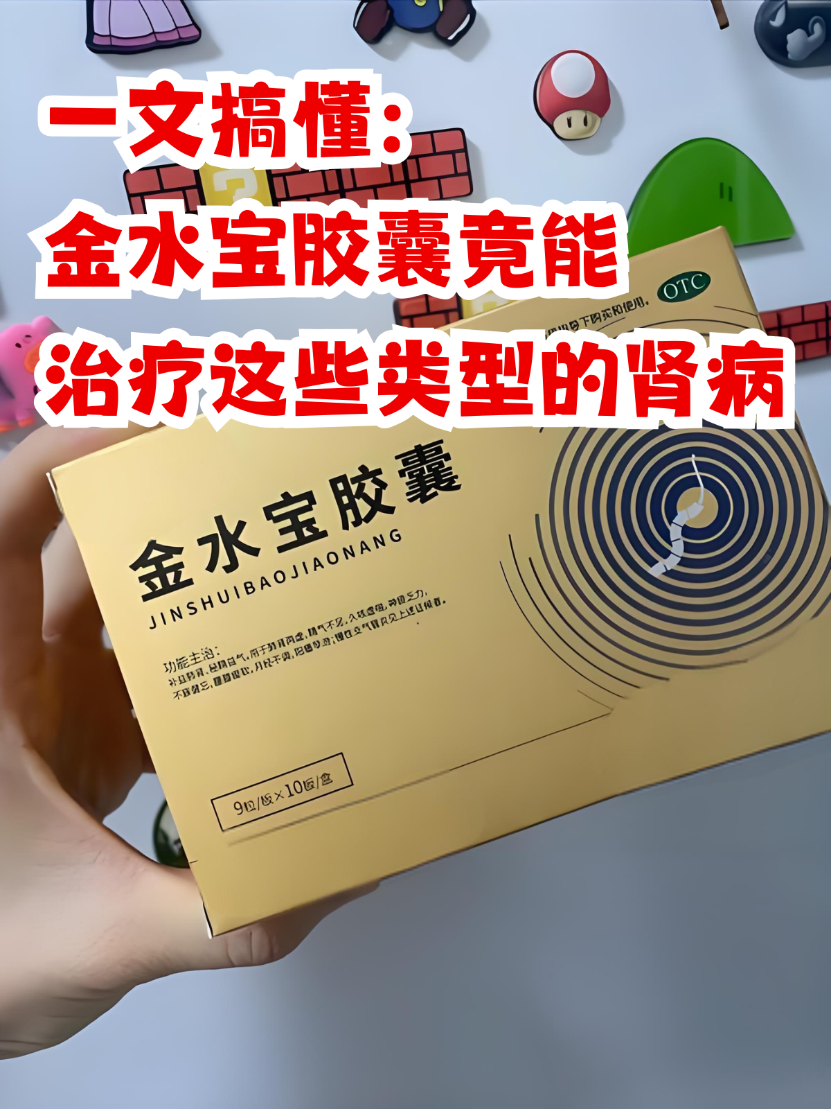 一文搞懂:金水宝胶囊竟能治疗这些类型的肾病 肾脏,作为人体重要的