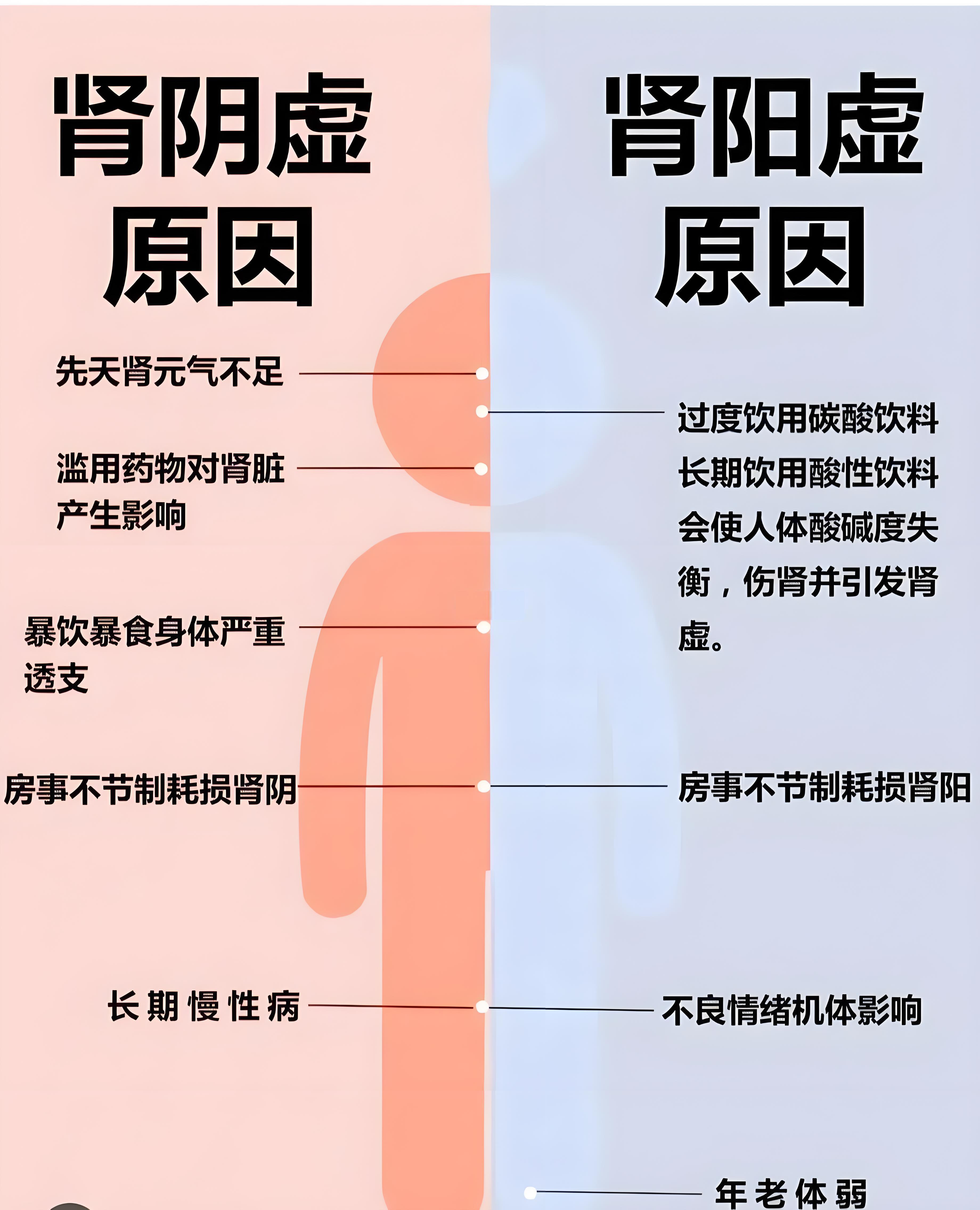 男性肾阴虚和肾阳虚的区别是什么(男性肾阴虚和肾阳虚的区别百度百科)