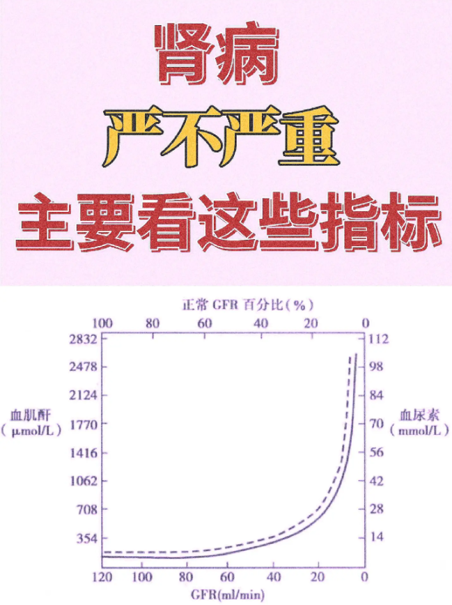 肾功能指标怎么看图片