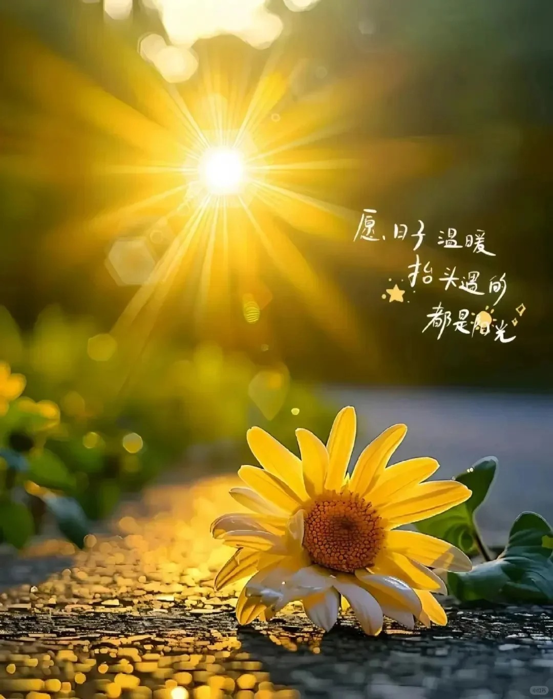 南宁脑博仕一对一心理咨询中心: 幸福没有标准答案