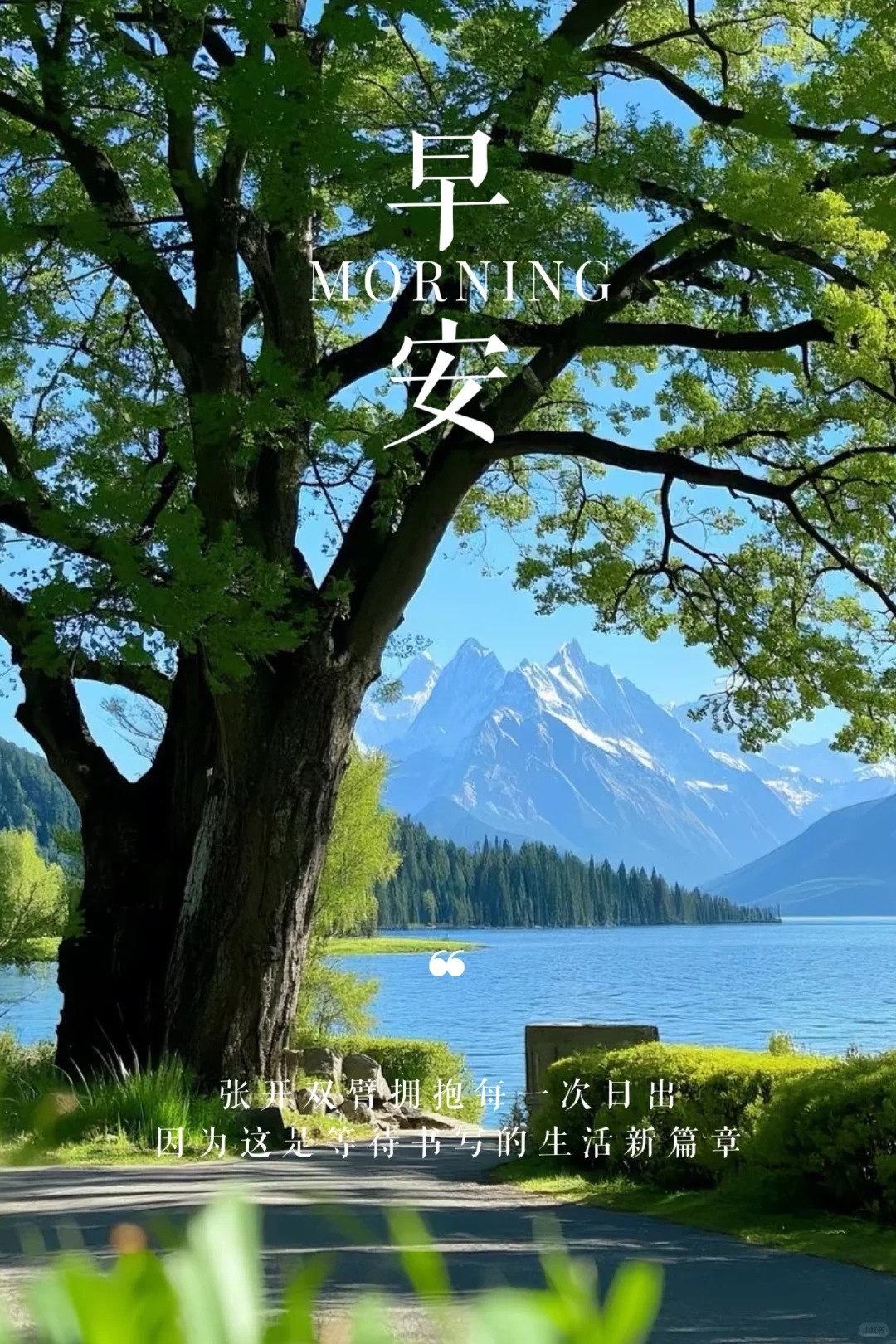 心怀热爱,不畏远方,愿你的每一步都踏在阳光上.#早安# #南宁心理医院