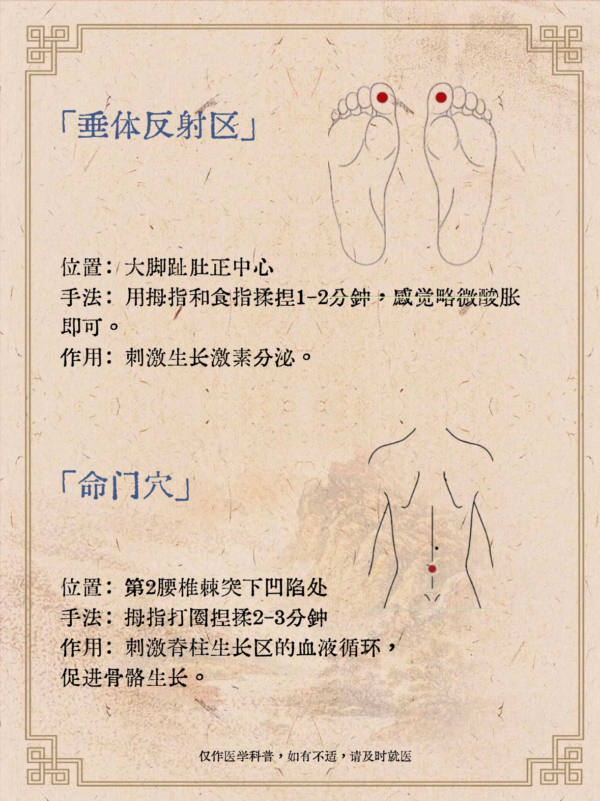 位置图和作用及功效长高的穴位精准找穴位小妙招长高按摩哪些穴位小叶