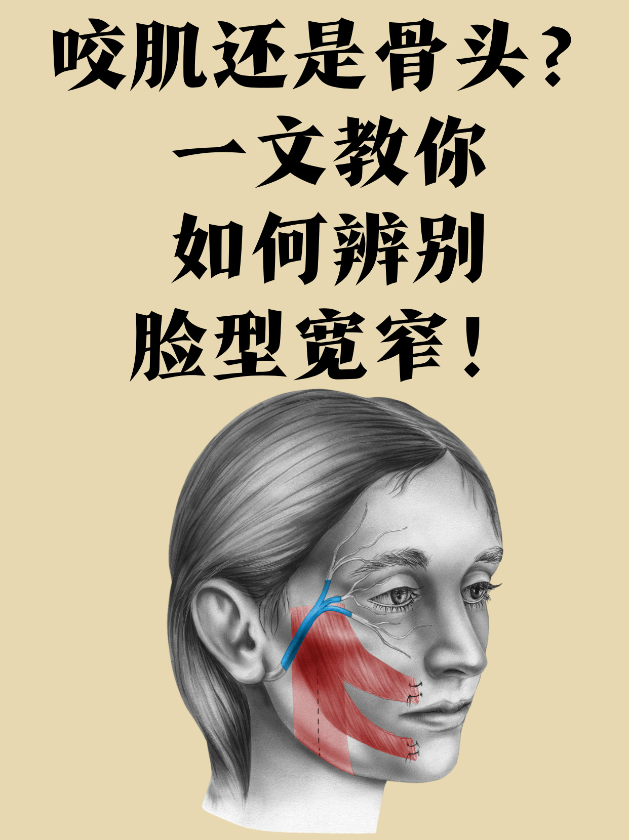 别急今天就来给大家科普一下如何辨别脸型宽窄的小技巧让你对自己