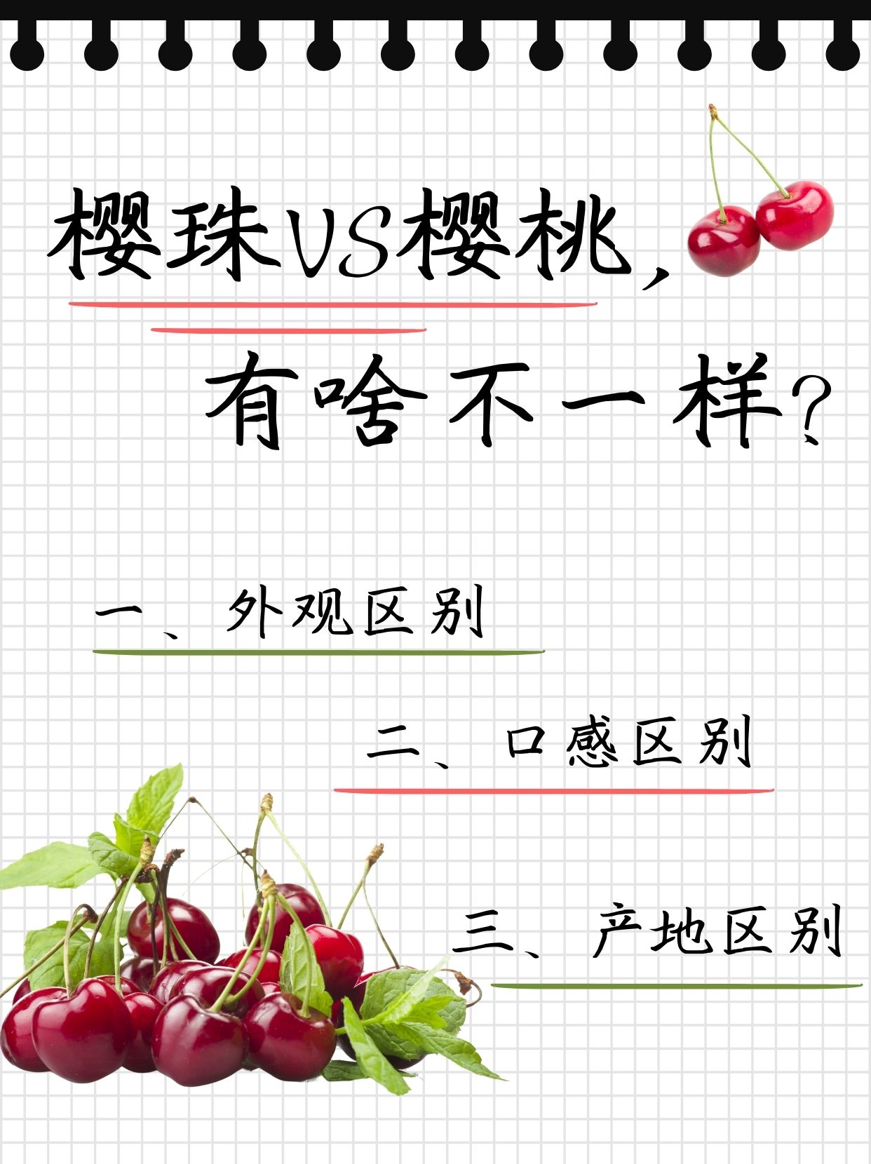 樱珠vs樱桃,有啥不一样?