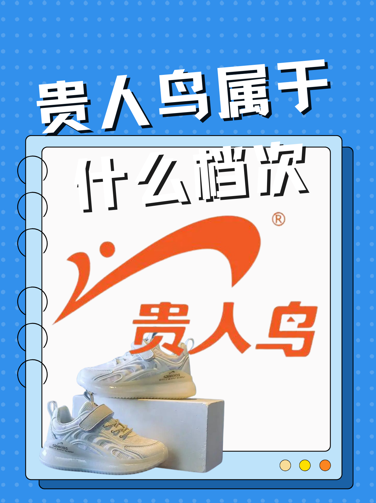 那贵人鸟到底属于什么档次呢?让我们一起来探讨一下!