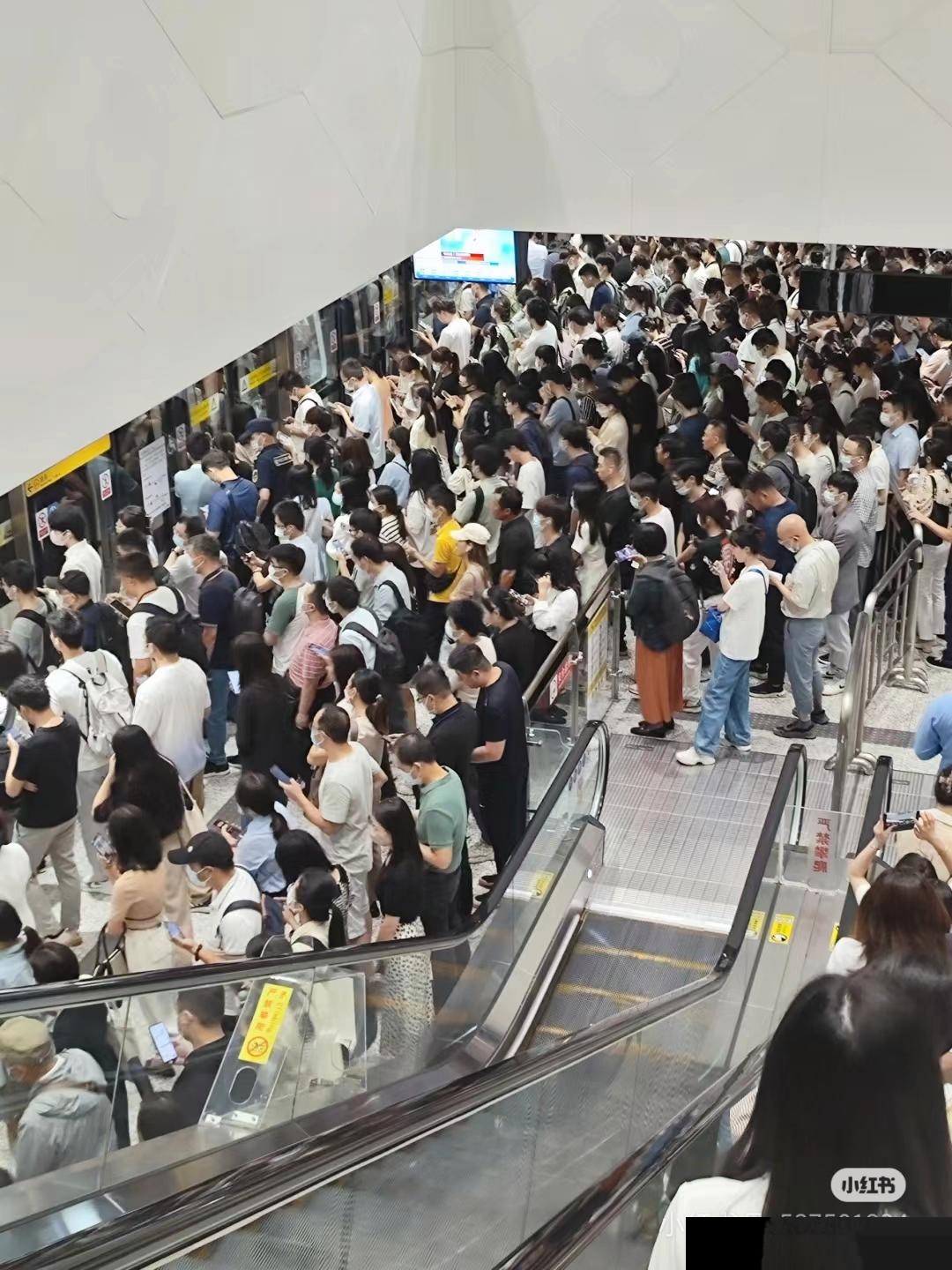 虽拥挤,却承载着希望,向着未来前行