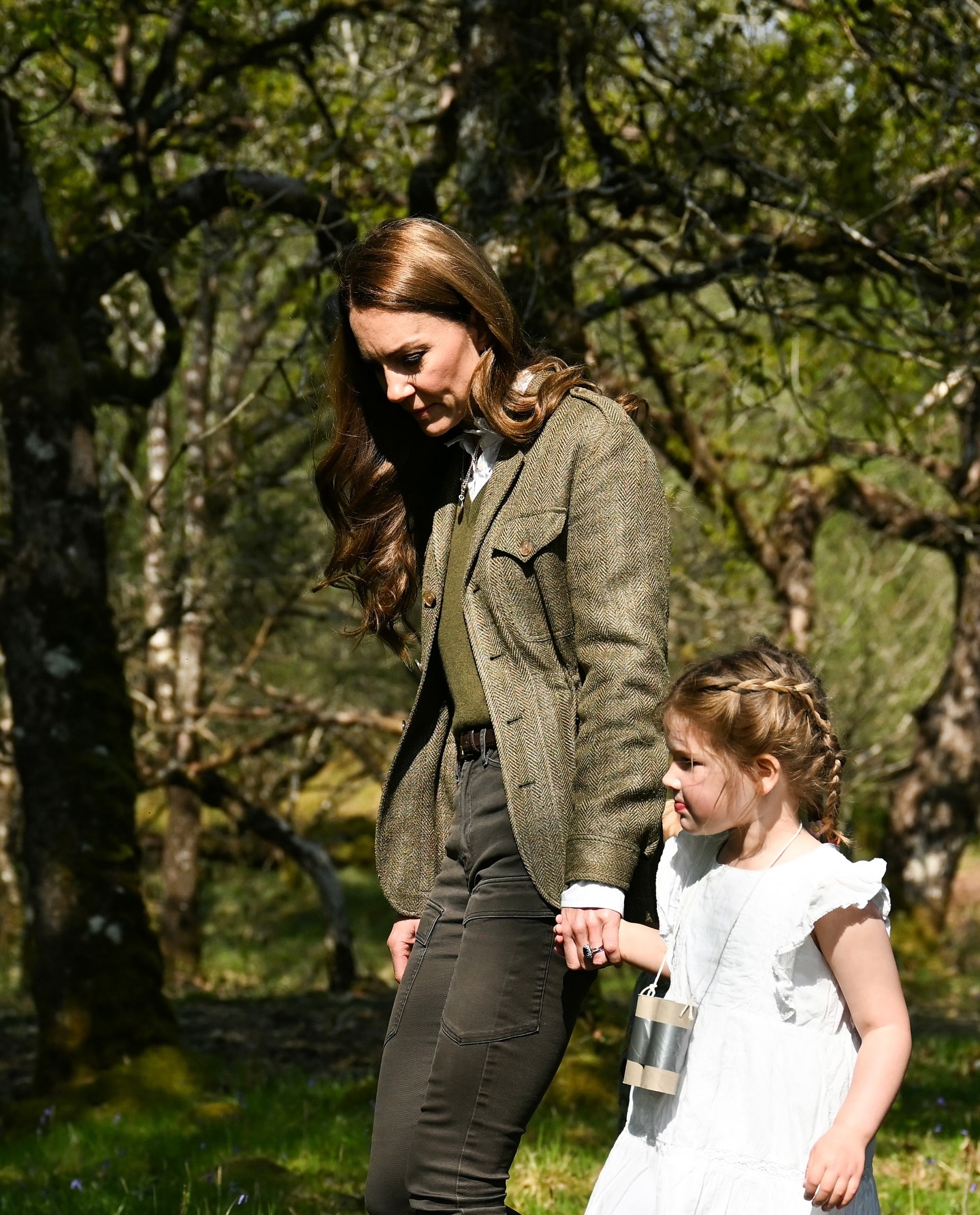 小孩子胆小,把花儿给凯特后,就迈着自己胖胖的小短腿跑了. 这一幕让