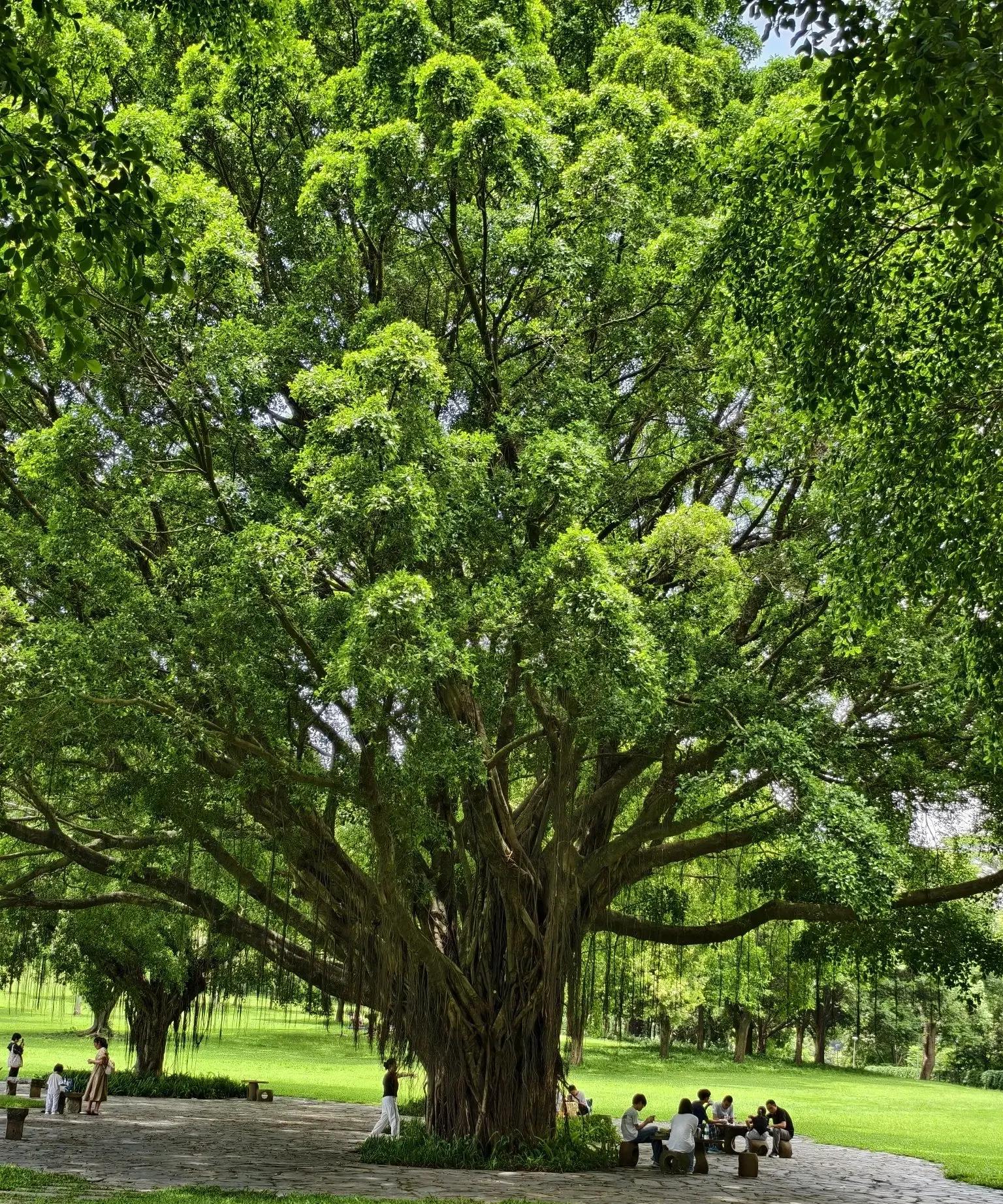 人来到这个世上,有些人是来体验人生的