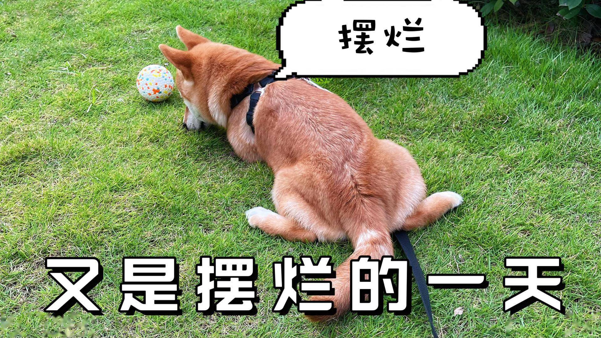 运动场上展风采, 动员全民共欢腾. 员员拼搏争荣誉, 加油鼓劲心相连
