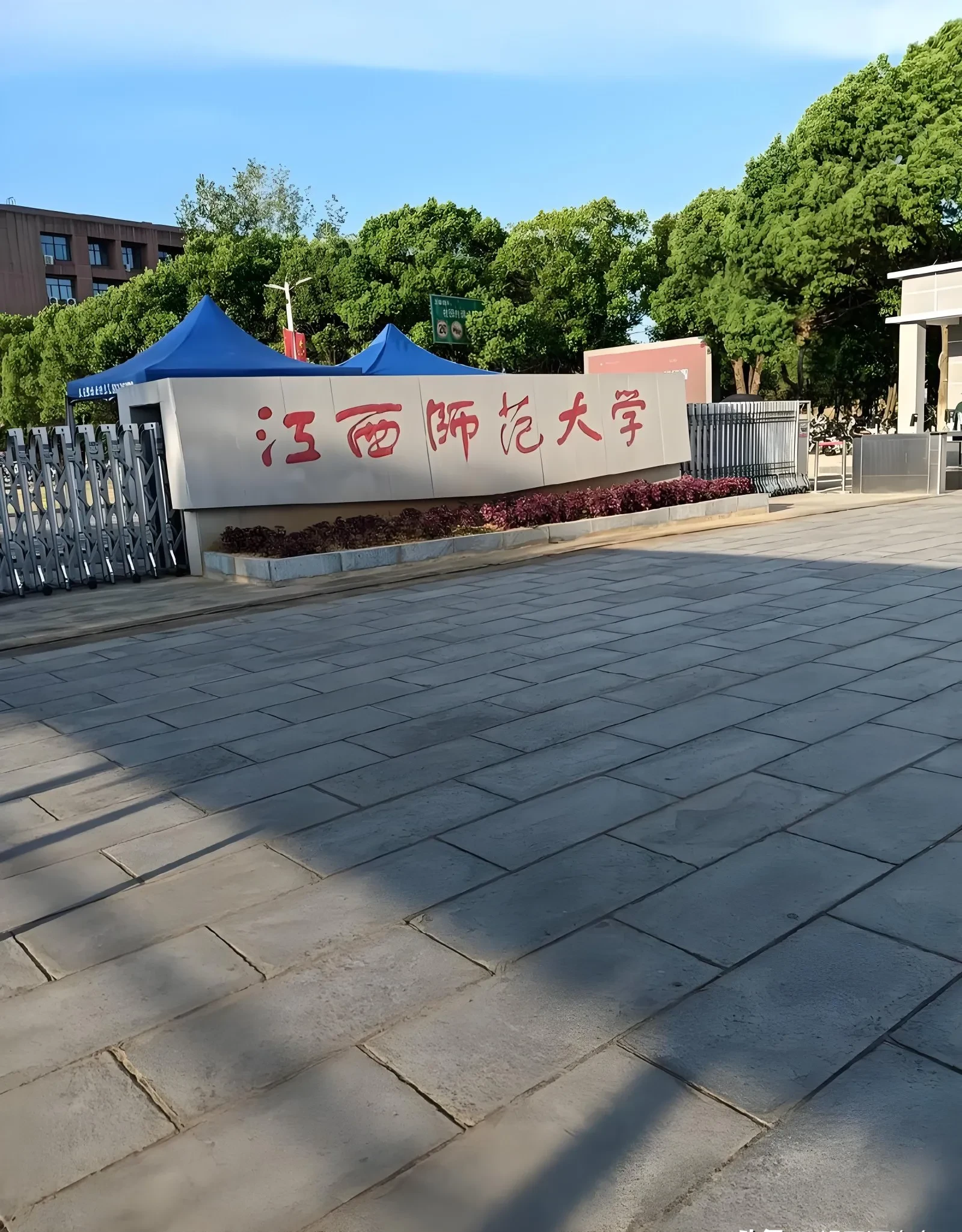 同事的女儿被滑档了.同事女儿高考584分,文科