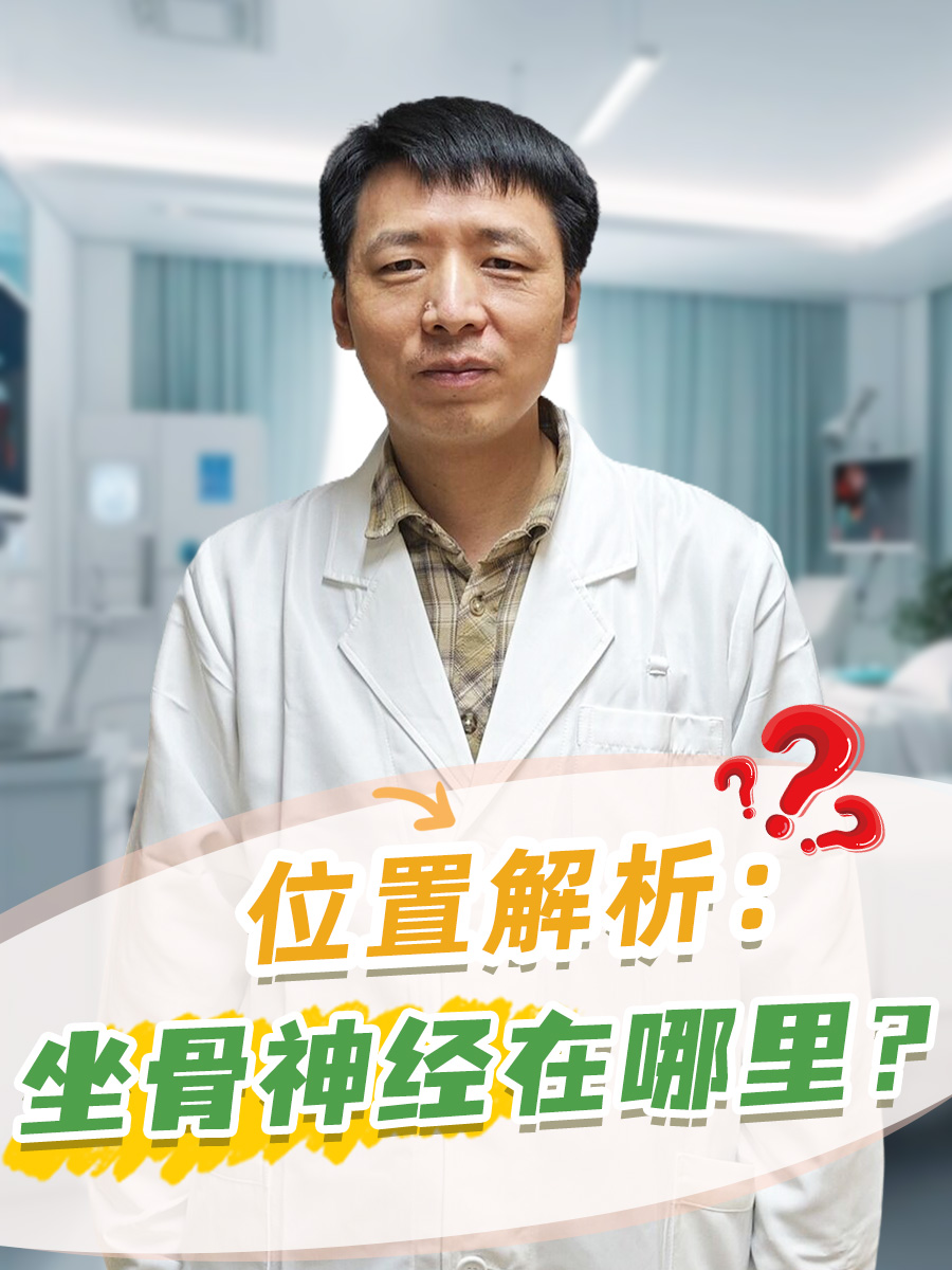 位置解析:坐骨神经在哪里?