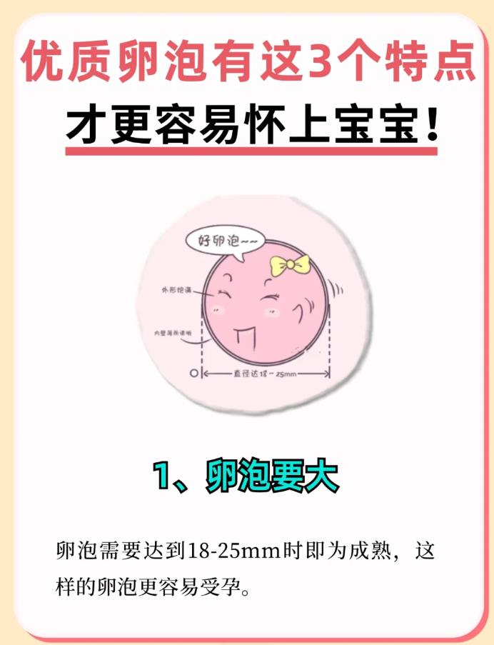 怎样才能让卵泡发育好长得快_怎么样可以让卵泡发育成熟长得好