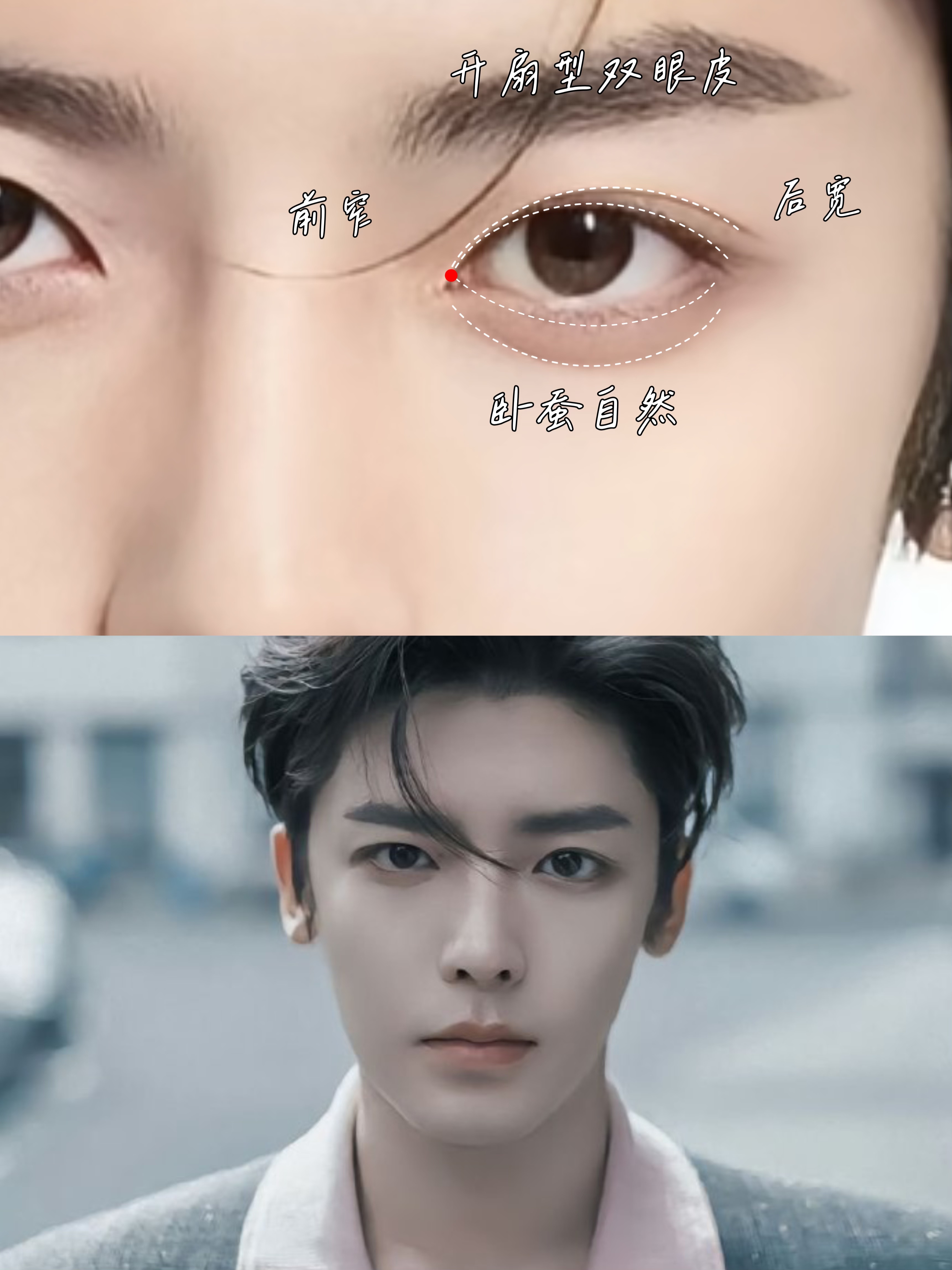 教科书级小双 明星级窄双的黄金标准 侯明昊的双眼皮堪称"自然款