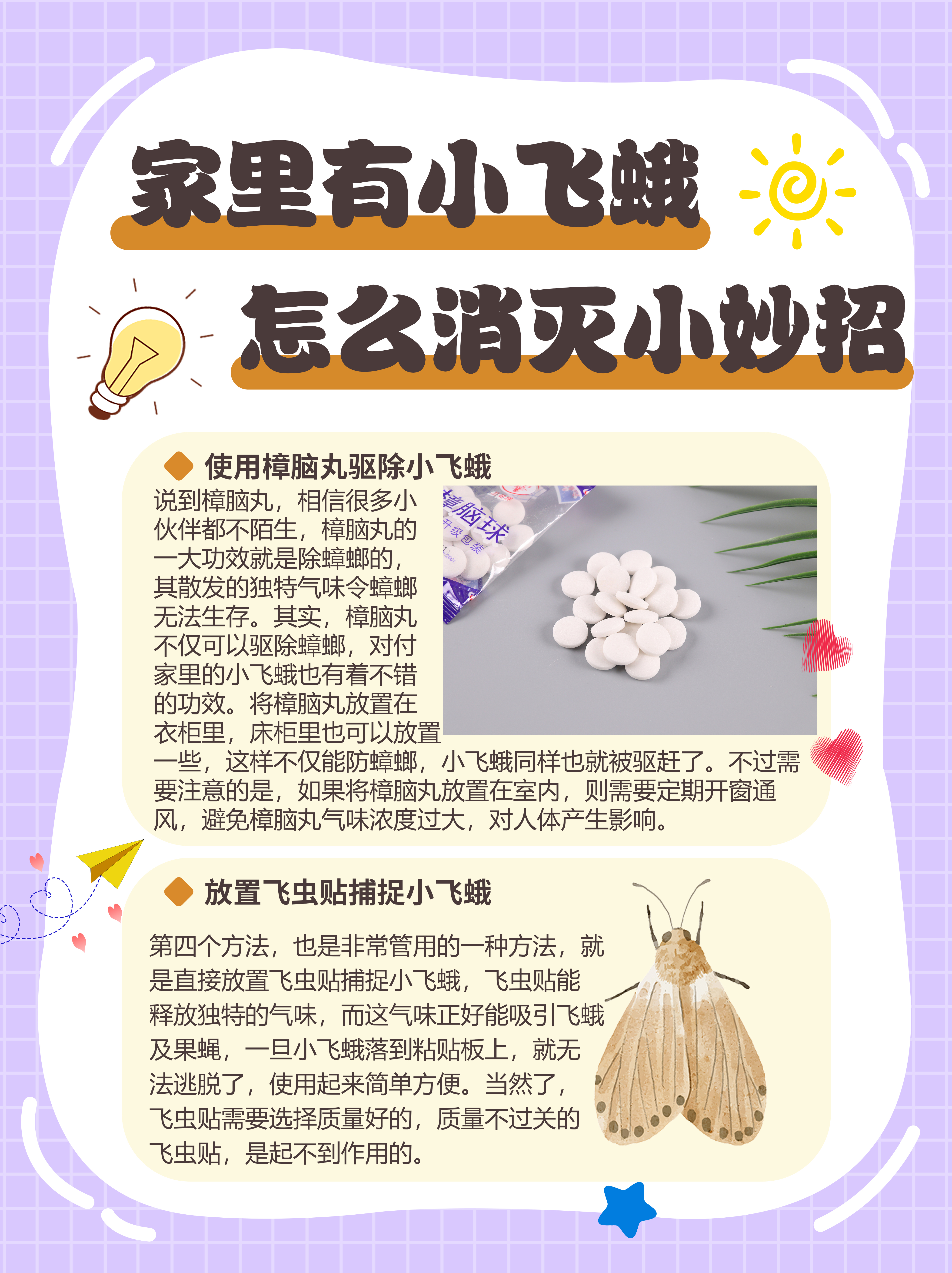 家有小飞蛾如何快速消除?