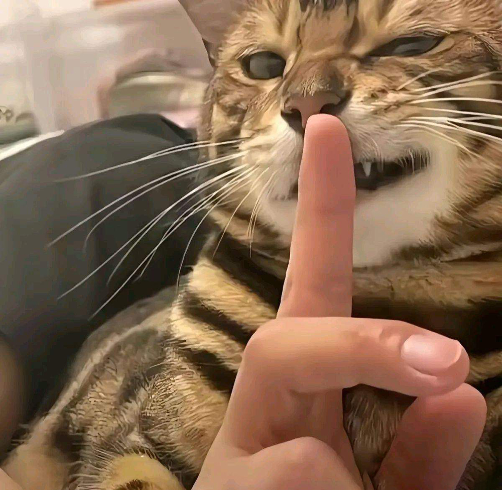 我用大白话给你讲清楚: 1