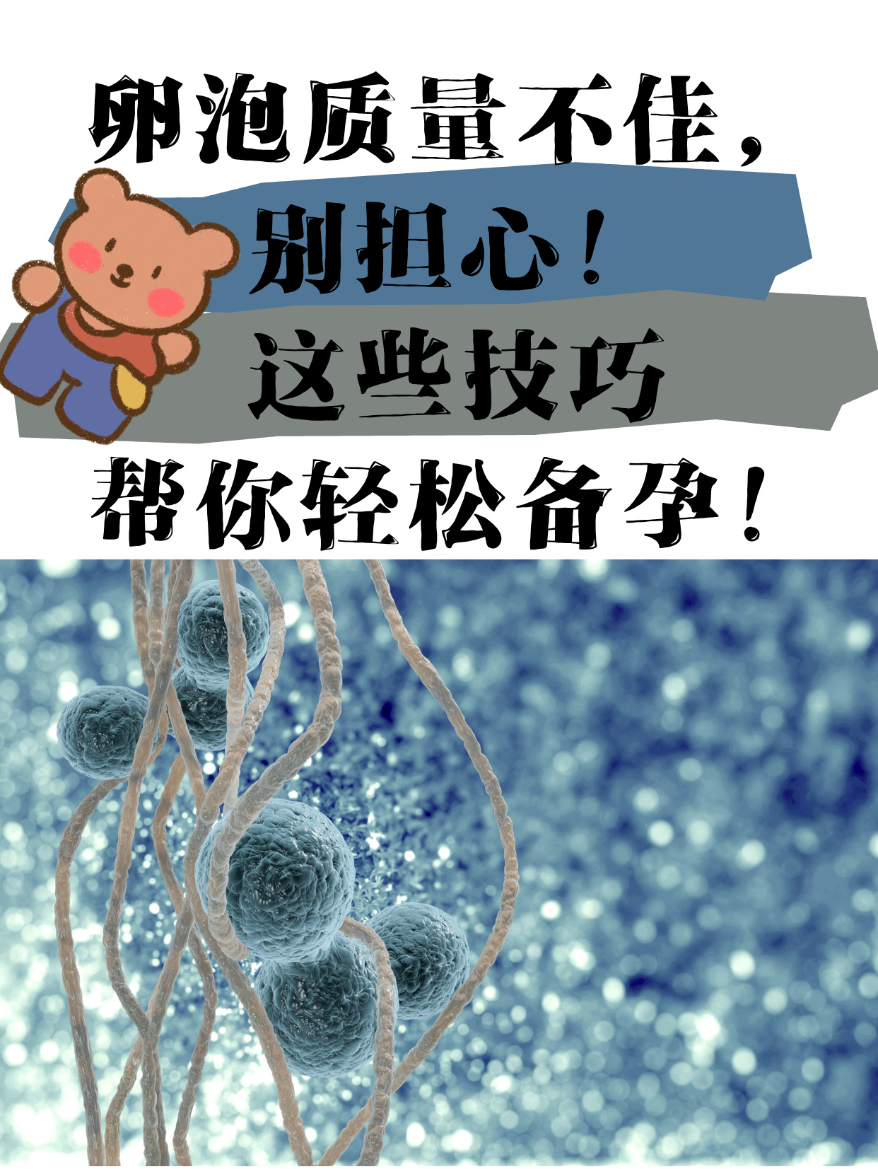 如何让卵子好_如何让卵巢保持年轻