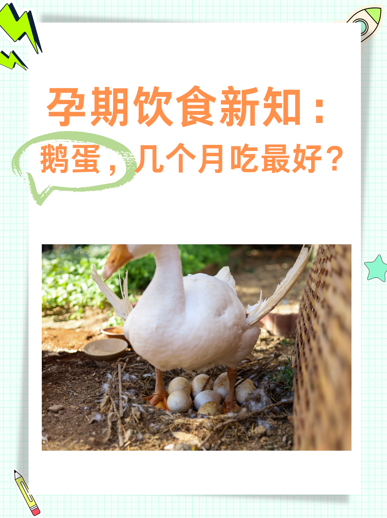 怀孕为什么要吃鹅蛋