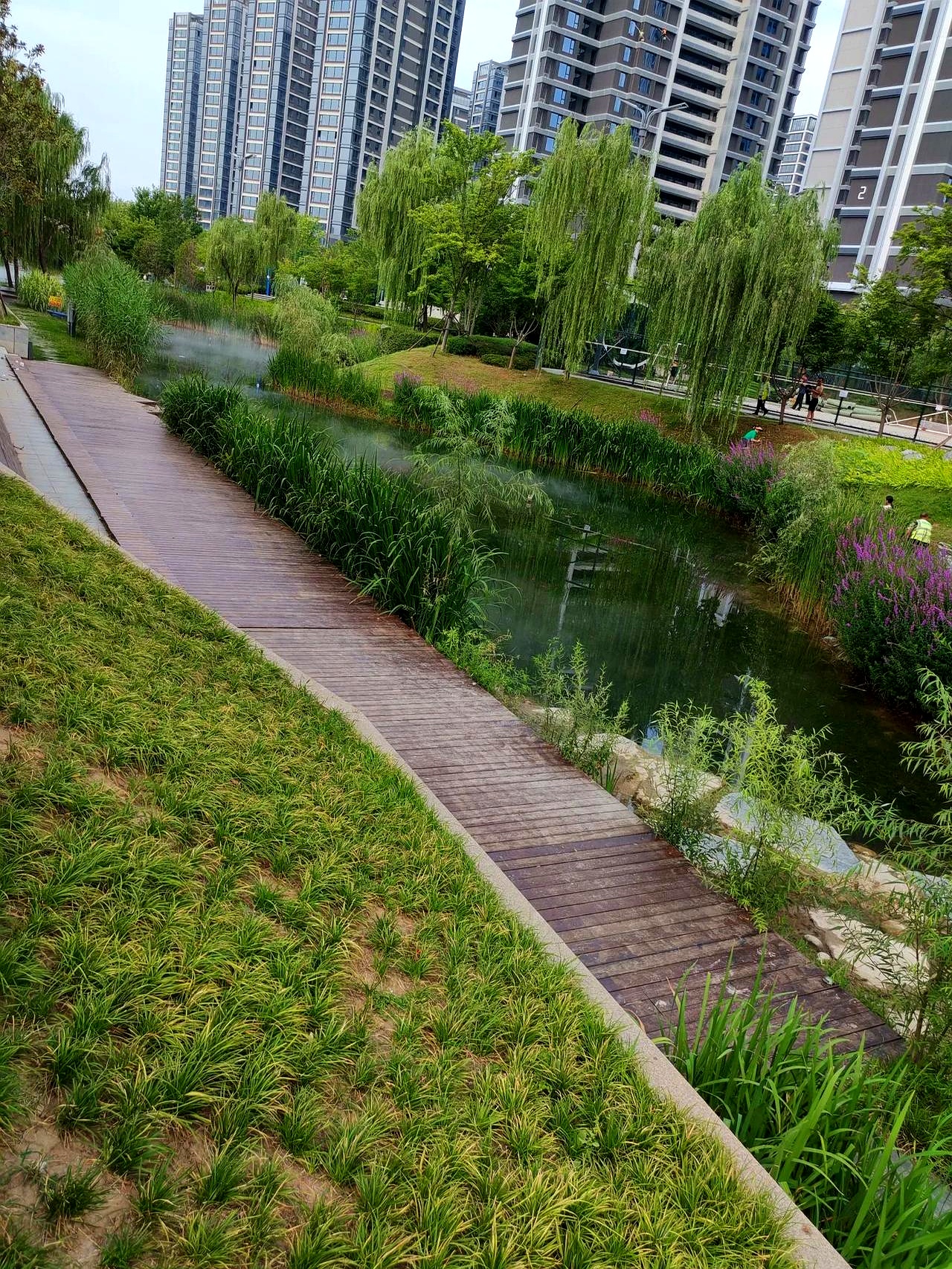 第一天语文他说一般,数学最后一道大题没解出来