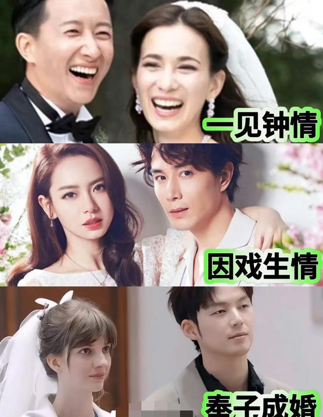 《妻子7》全集在线播放