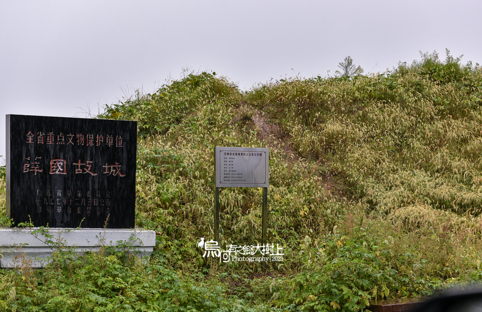 鲁南地区曾经有个薛国,您知道在哪吗  薛国是"泗上十二诸侯"之一,故国