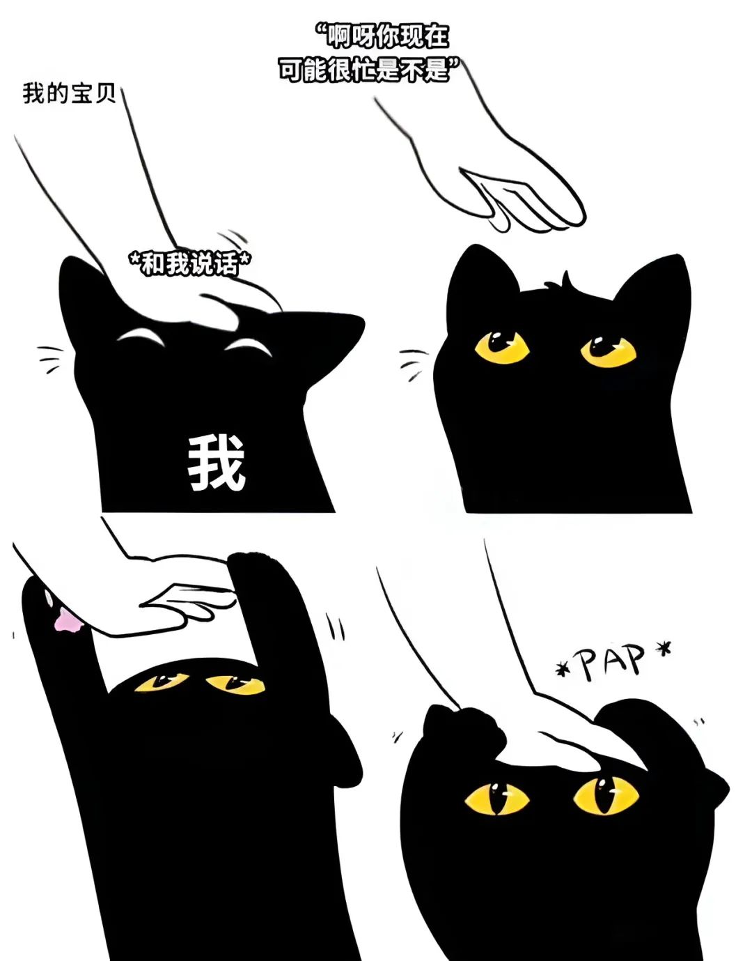 meme梗图你也这样对待你家猫么
