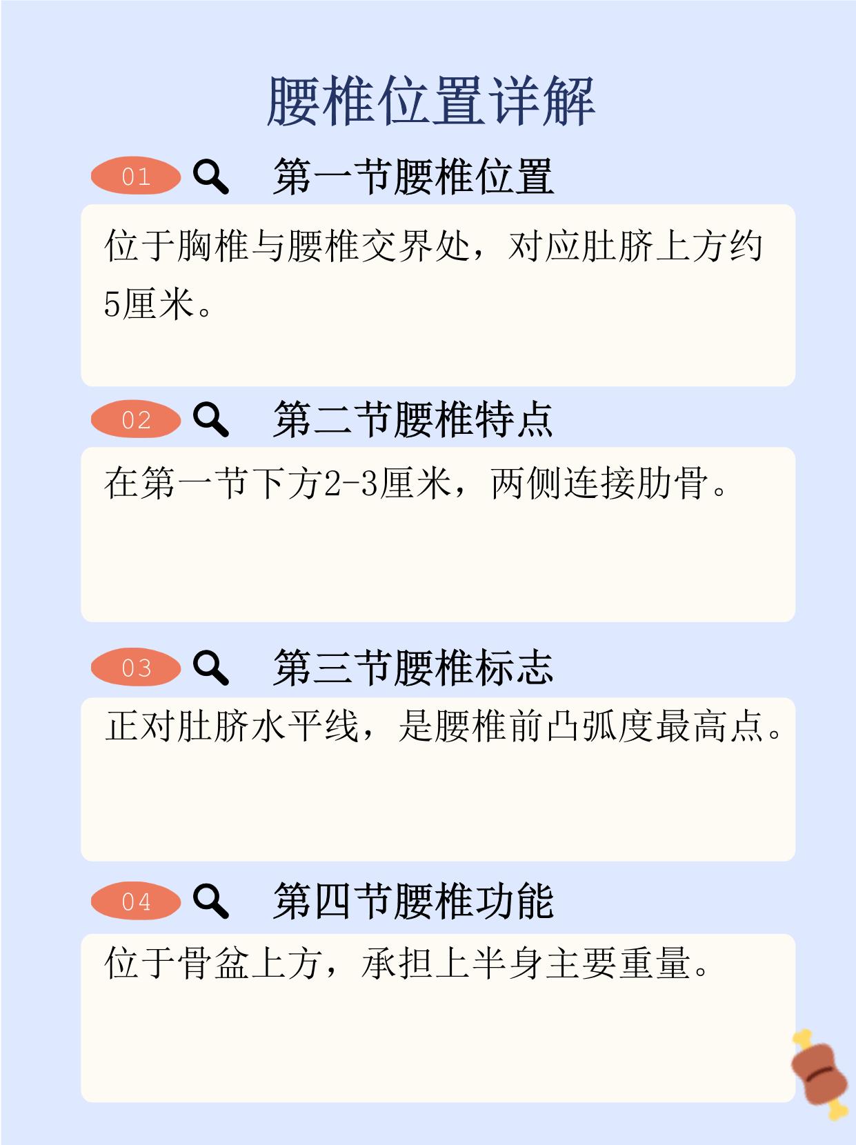 腰椎是支撑人体的重要结构1到5节腰椎从胸椎下方延伸至骶骨上方每