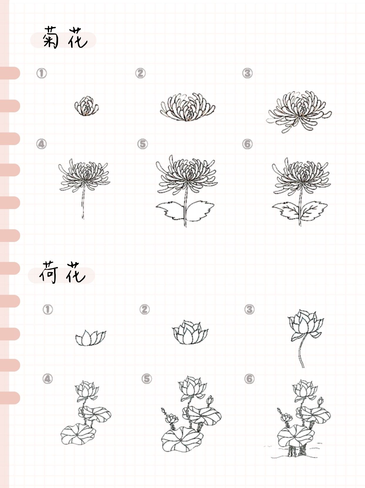 怎样画花草简单又好看图片