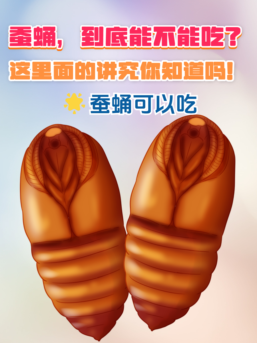 蚕蛹里面还有白色条状是什么为什么在线 蚕蛹里面还有白色条状是什么为什么在线