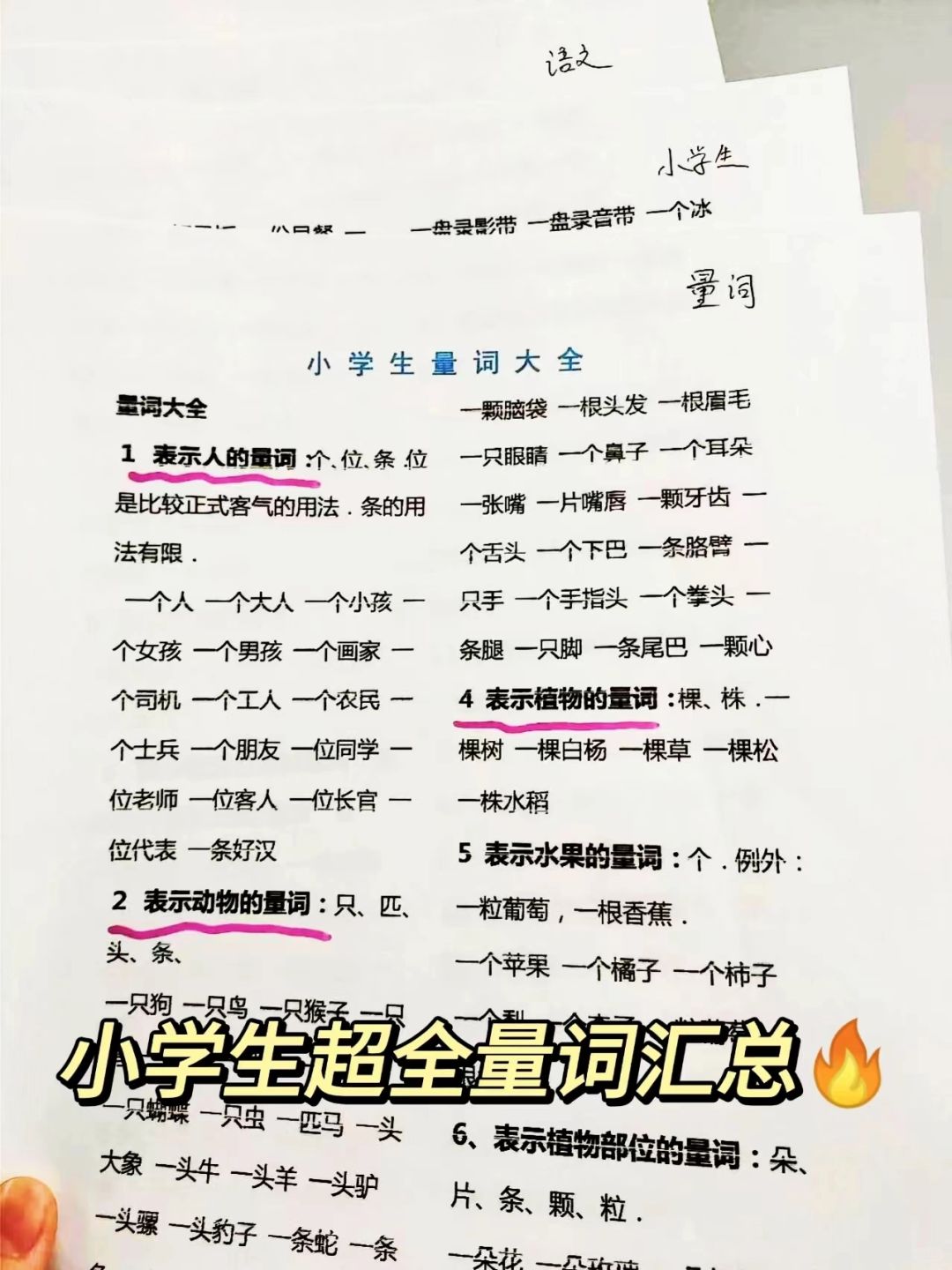 关于实测好用!小学资料,提分明显的信息 关于实测好用!小学资料,提分明显的信息