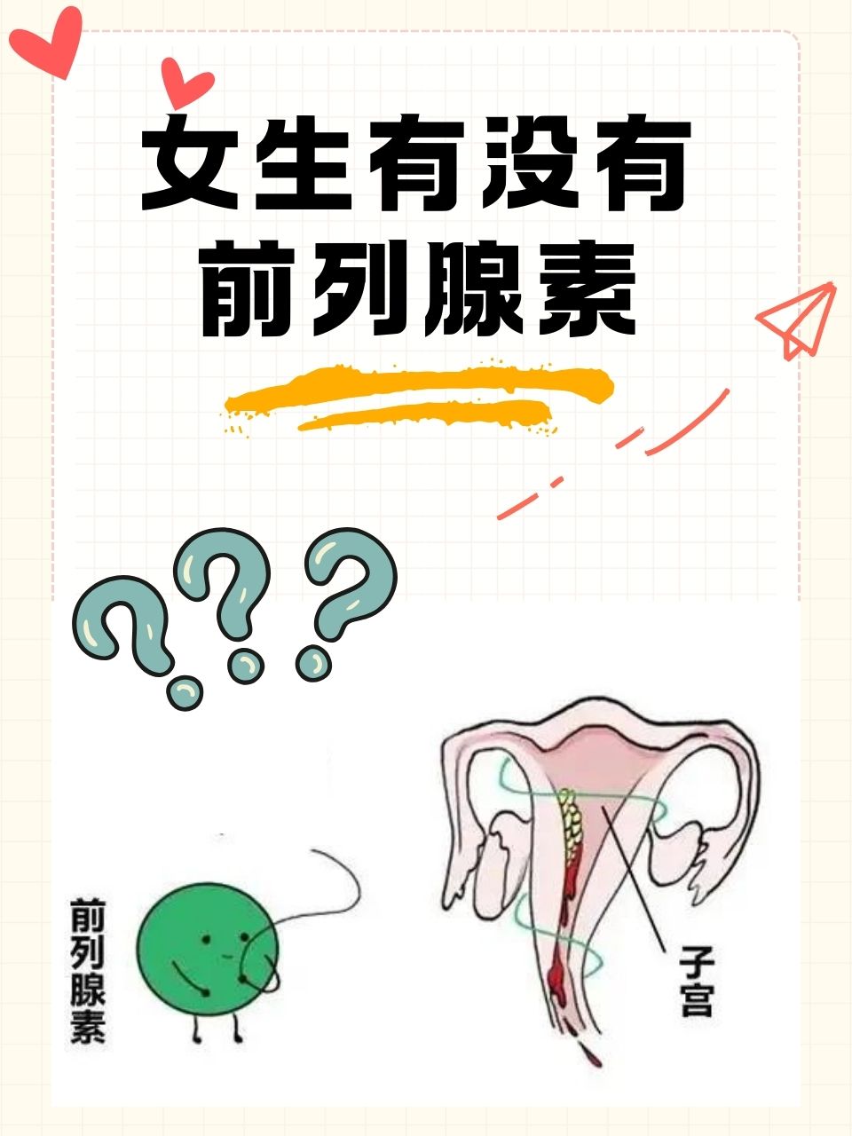 女性生理健康的广阔领域中,一个常被误解的话题便是"女生是否有前列腺