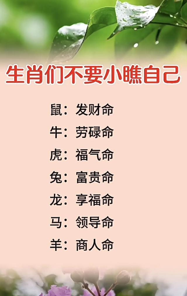 十二生肖的生日运势(十二生肖的生日运势图)