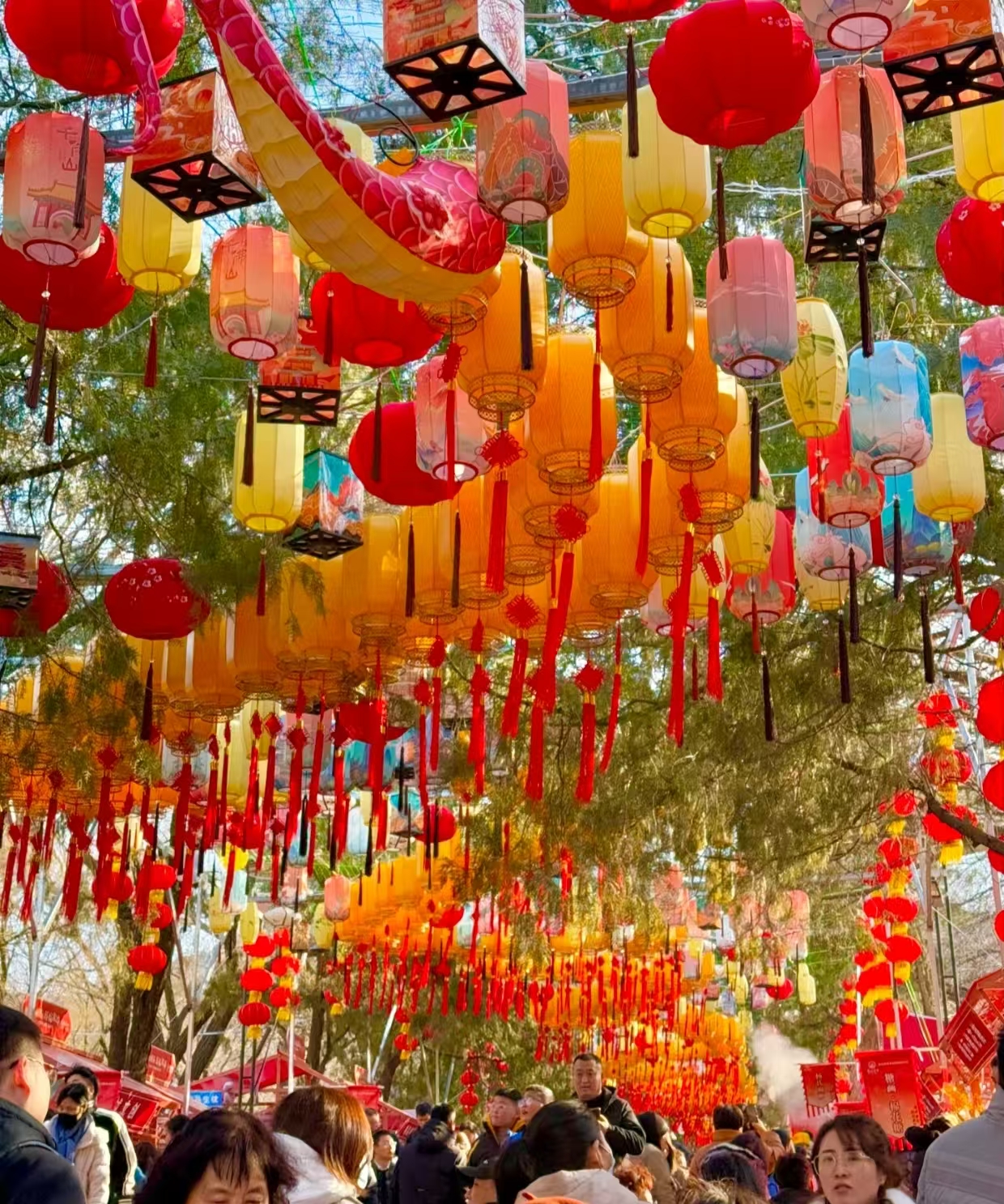 春节去济南哪里好玩一点(去济南哪里玩比较好)
