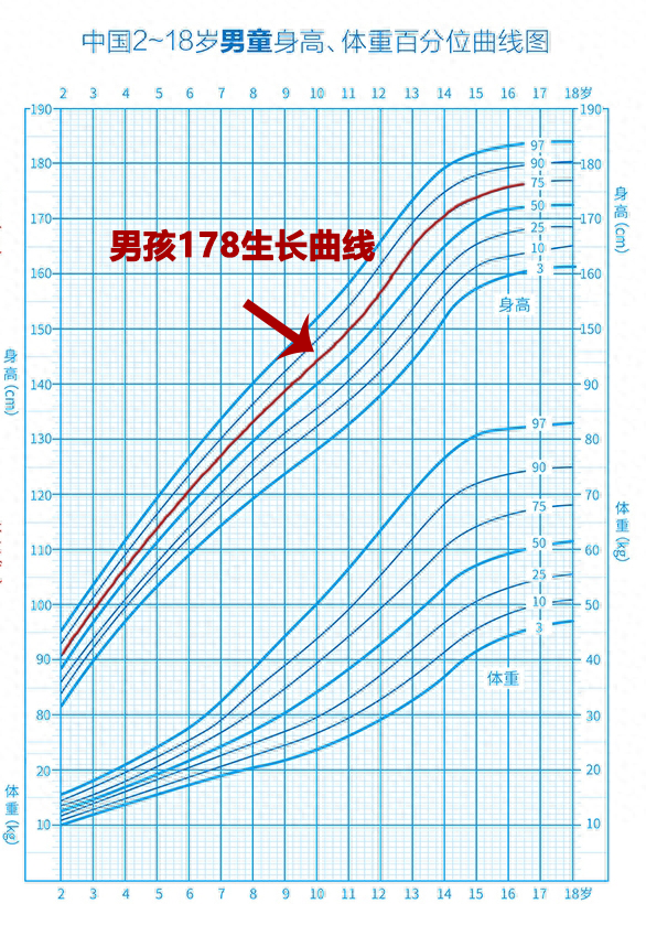 身高曲线男孩图片