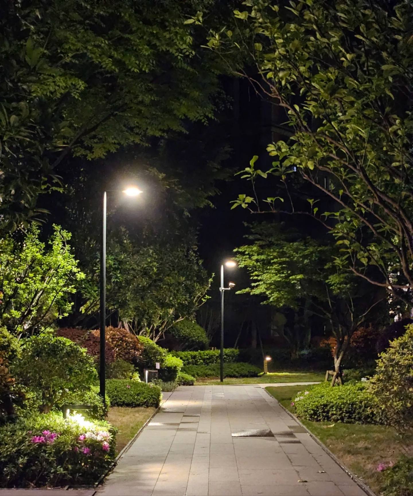 夜晚绿道室外晚上玩外景图片凌晨遛弯路灯下小区小区夜间的公区照明