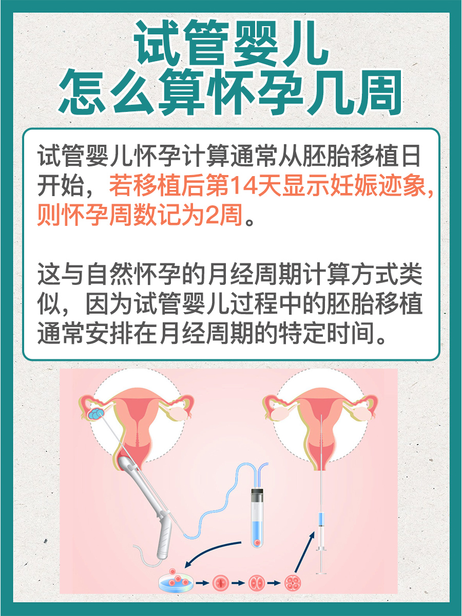 雌二醇要达到多少才能取卵_雌二醇要达到多少才能取卵呢  第2张