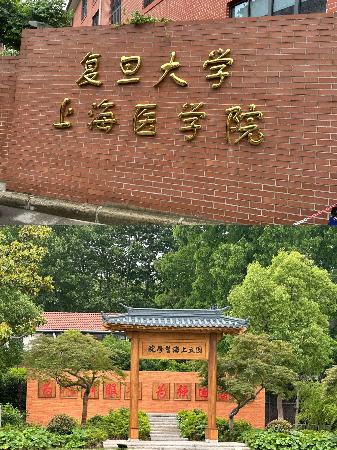 说起复旦大学上海医学院(简称"复旦上医,真的是个历史悠久,实力超群