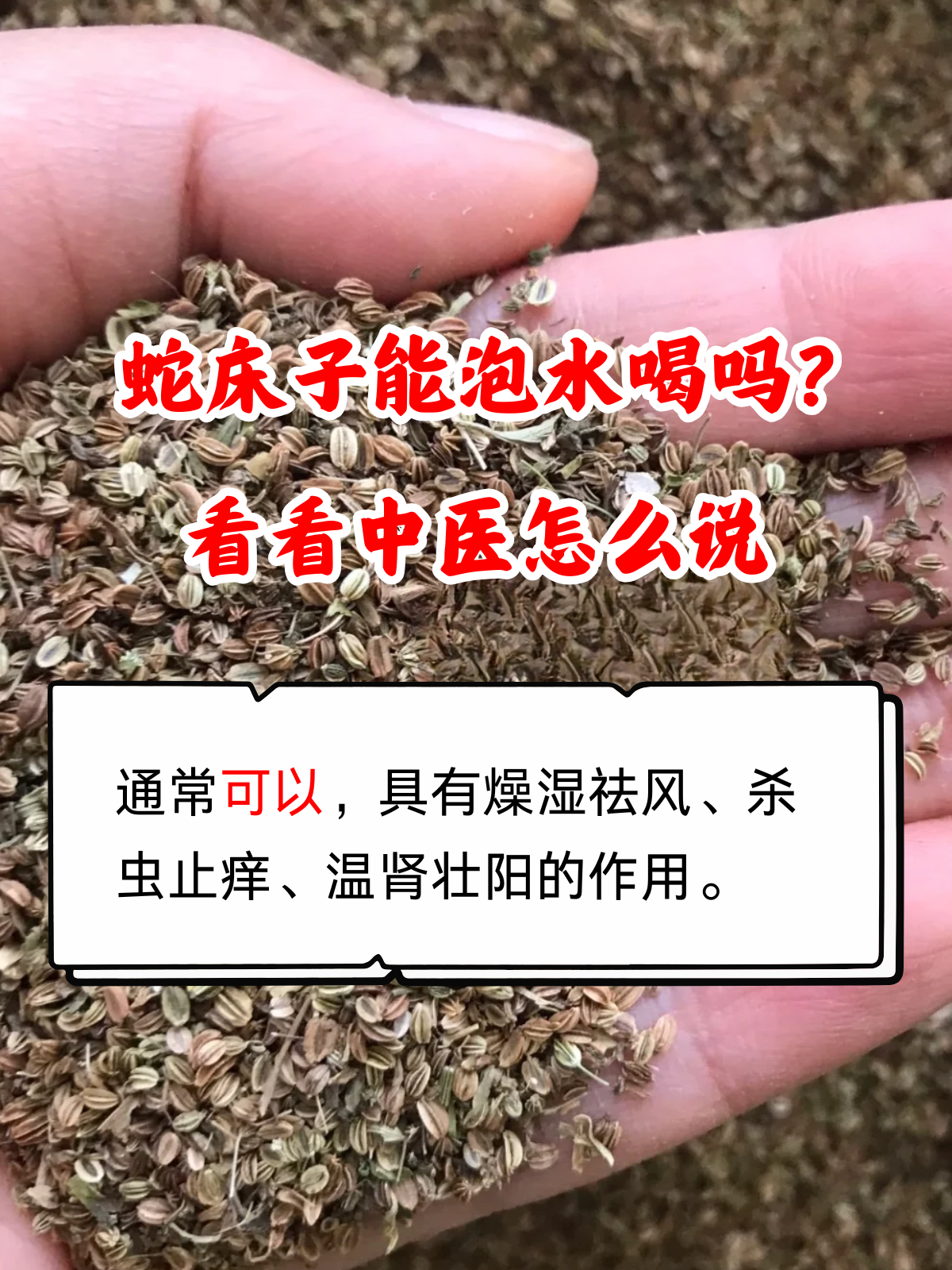 泡水喝药材是什么药蛇床子的作用和功能主治蛇床子的功效与作用蛇床子