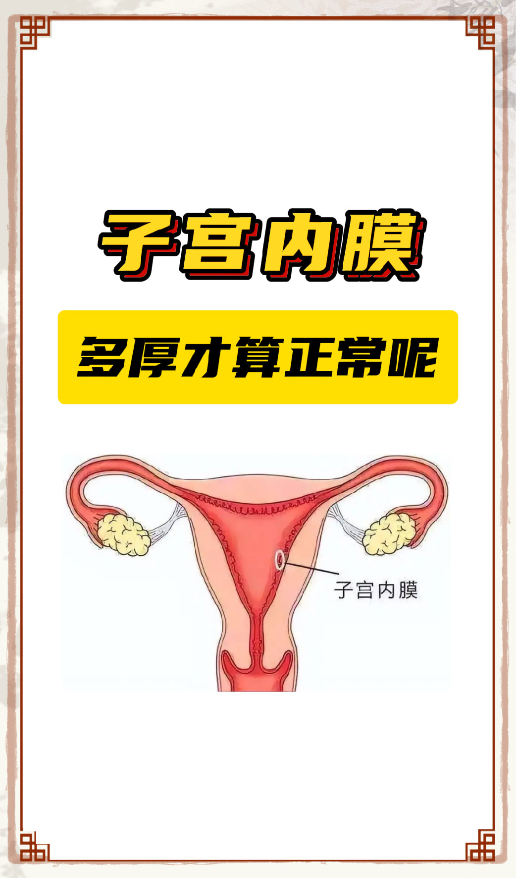 子宫内膜厚度图片