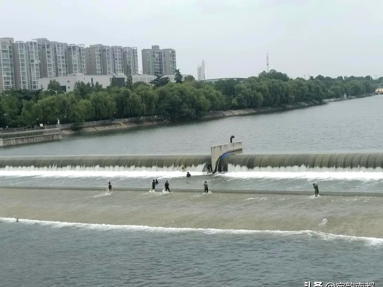 南阳白河二坝白天竟然有这么多人公然撒网捕鱼,现在可是禁渔期啊!