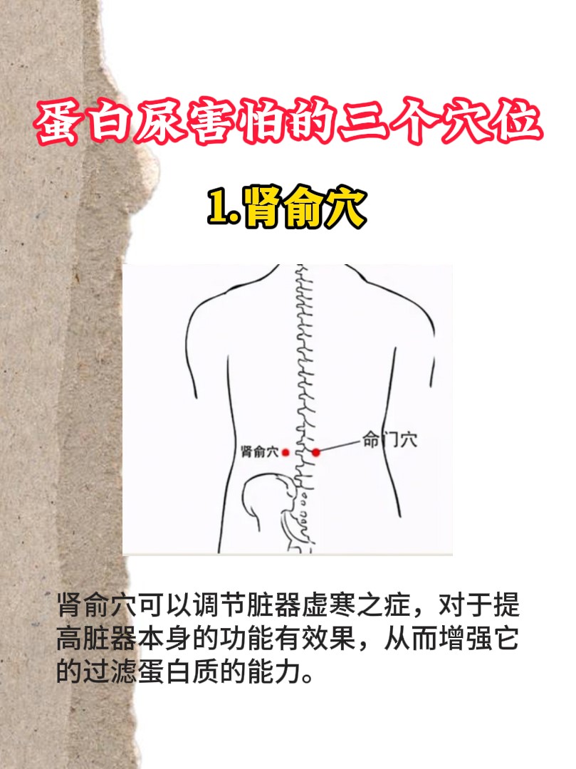 肾俞位置图片