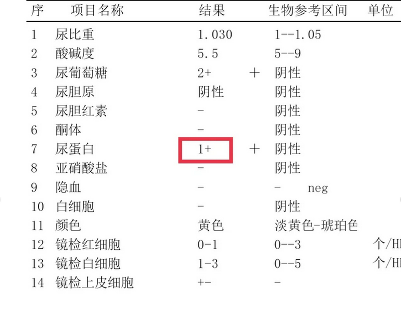 尿蛋白阳性图片