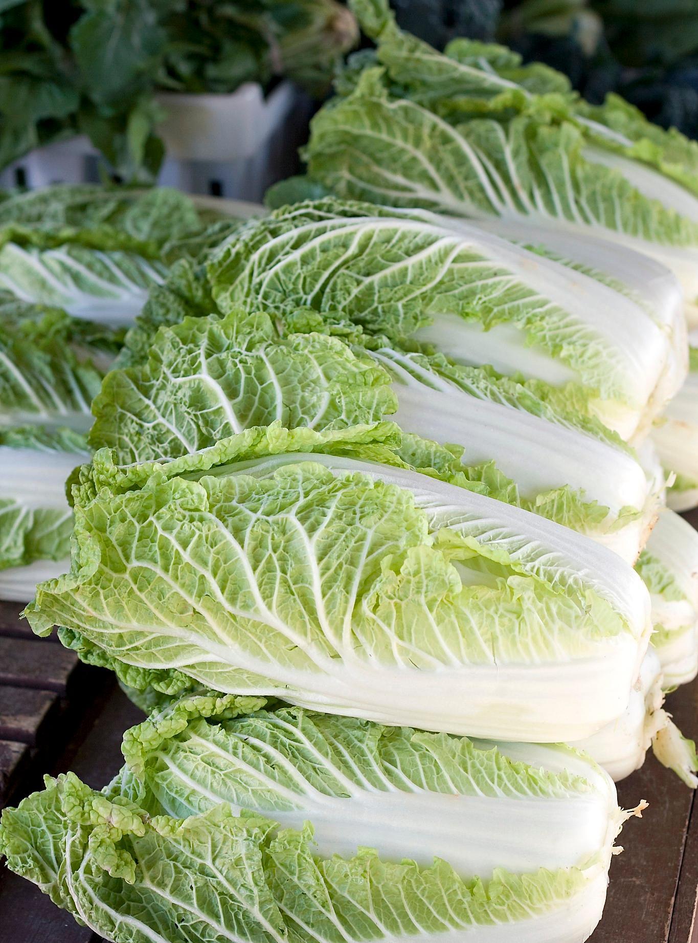 菜场上大白菜零售一斤一块三批发九毛六;大葱更绝零售一块四批发